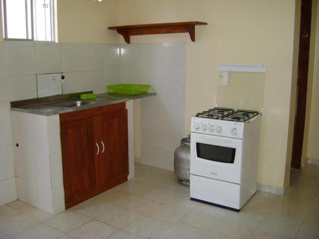 Duplex Apartment photo 2