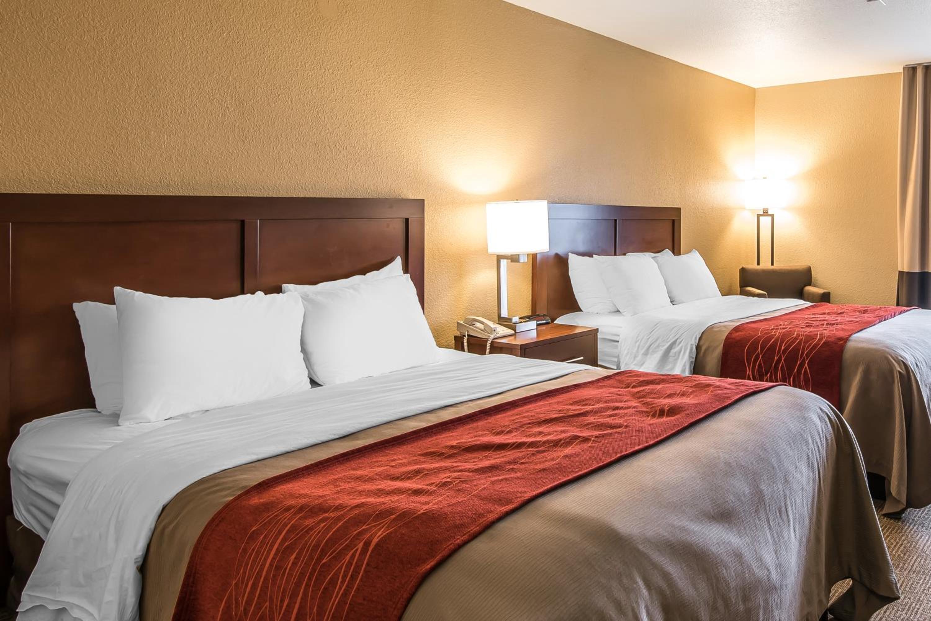 Queen Room with Two Queen Beds - Non-Smoking photo 3