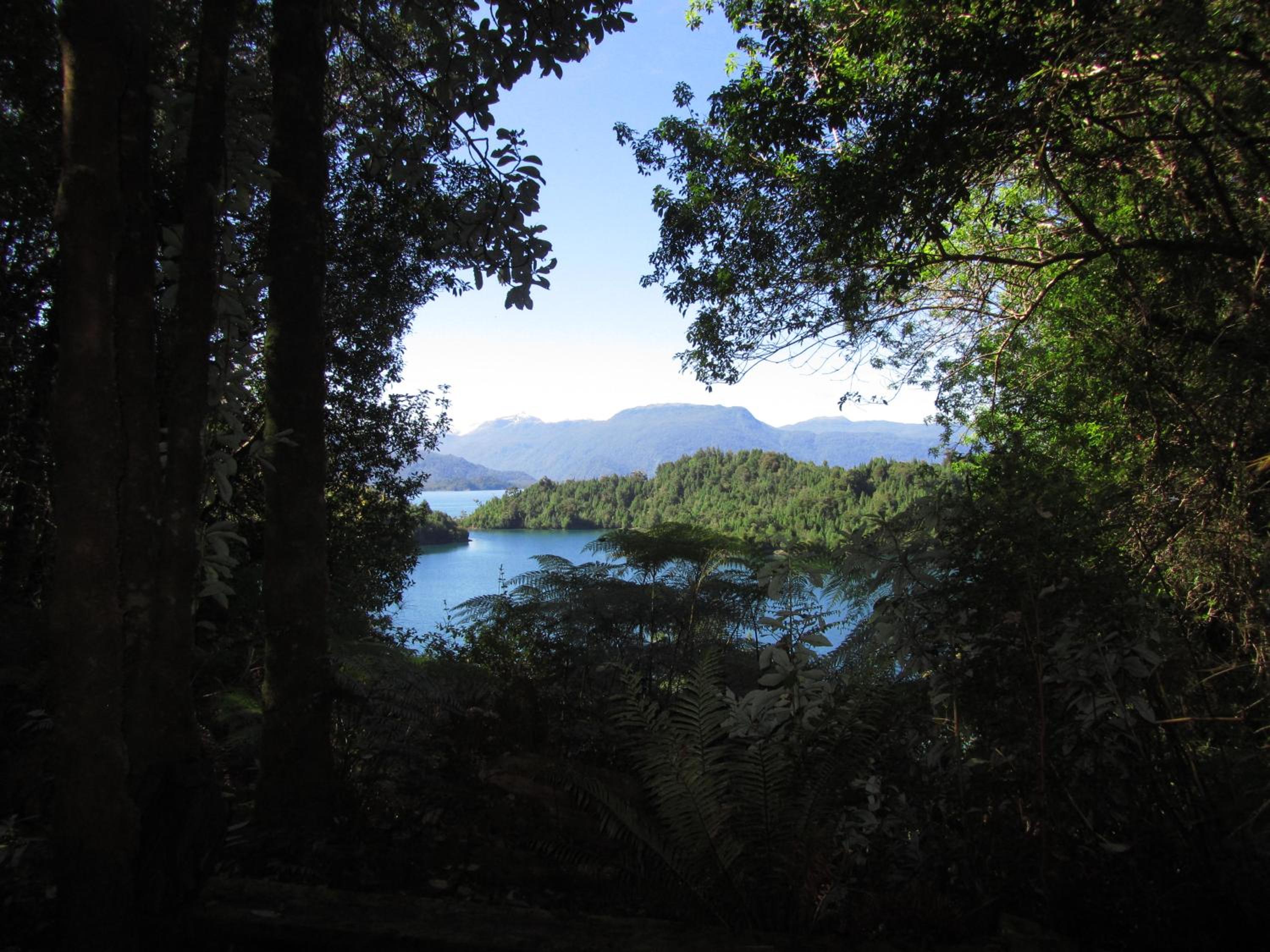 Vacation Home photo 2