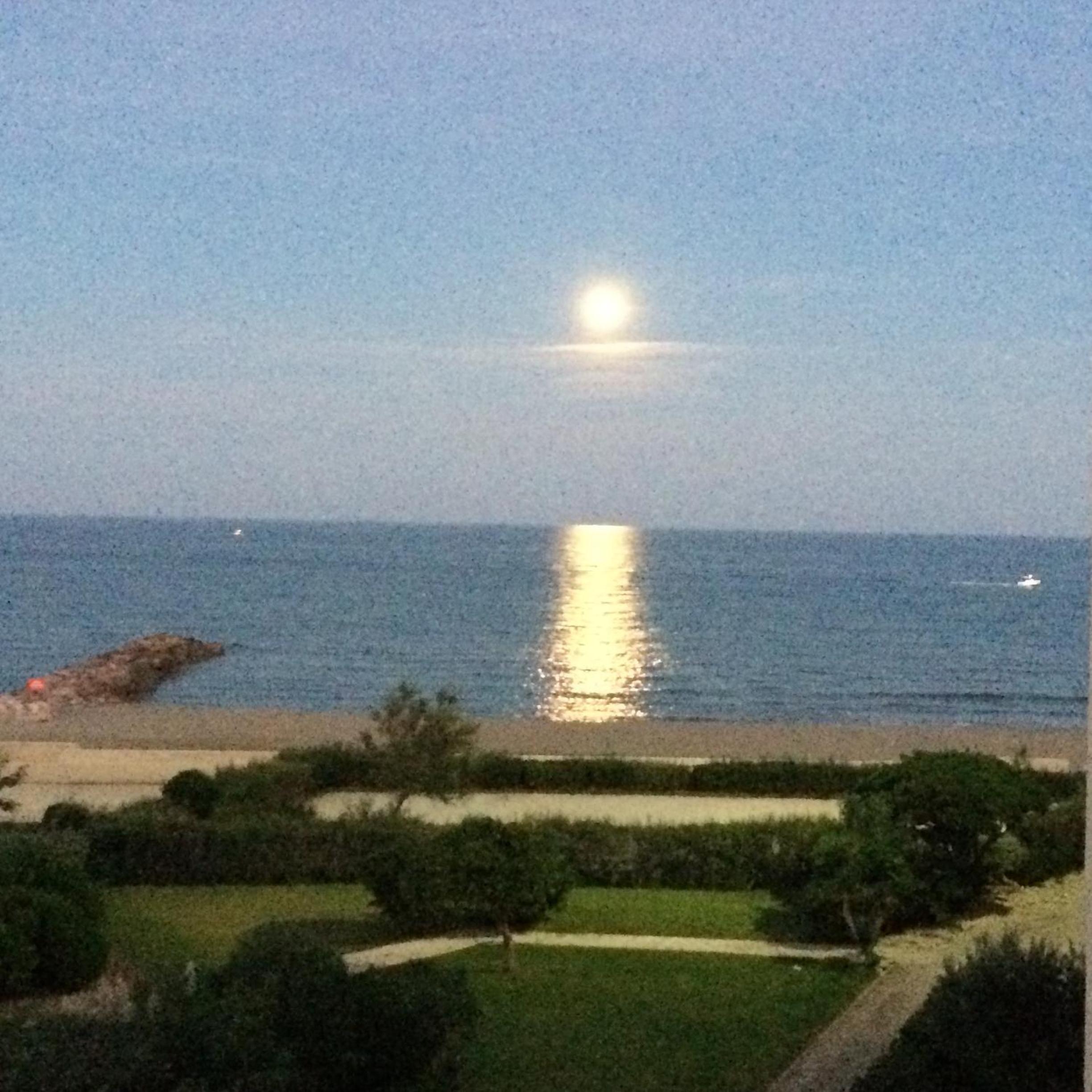 Apartment with Sea View - Photo 10