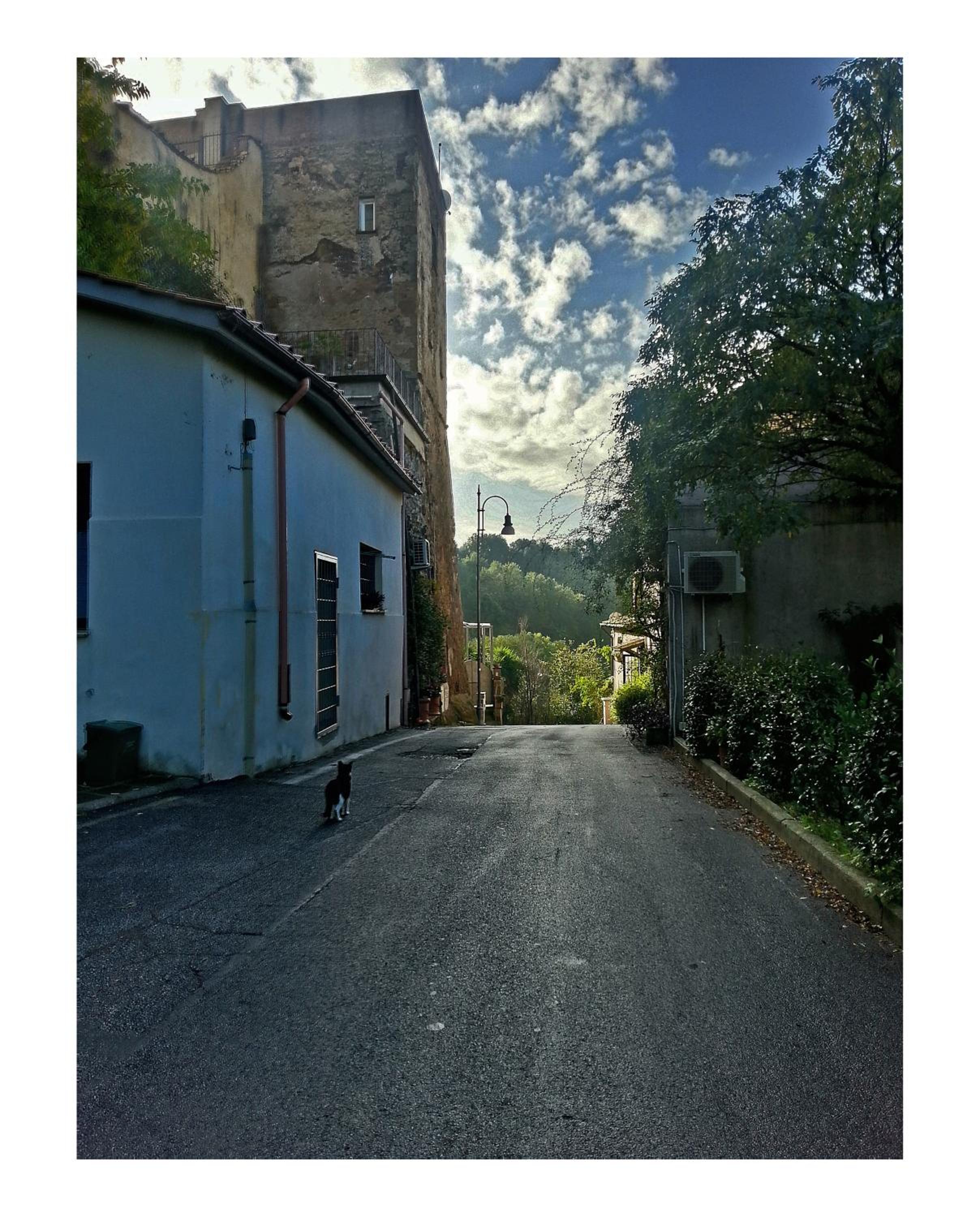 Maisonette - Photo 47