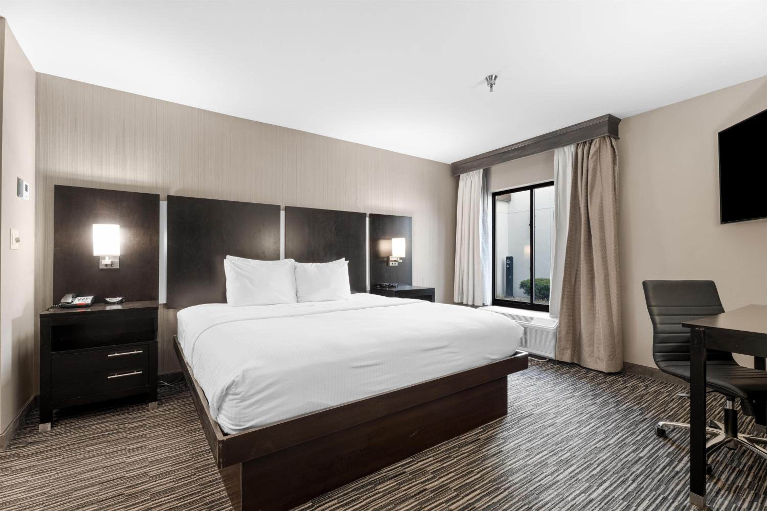 One-Bedroom King Suite with Kitchenette - Non-Smoking