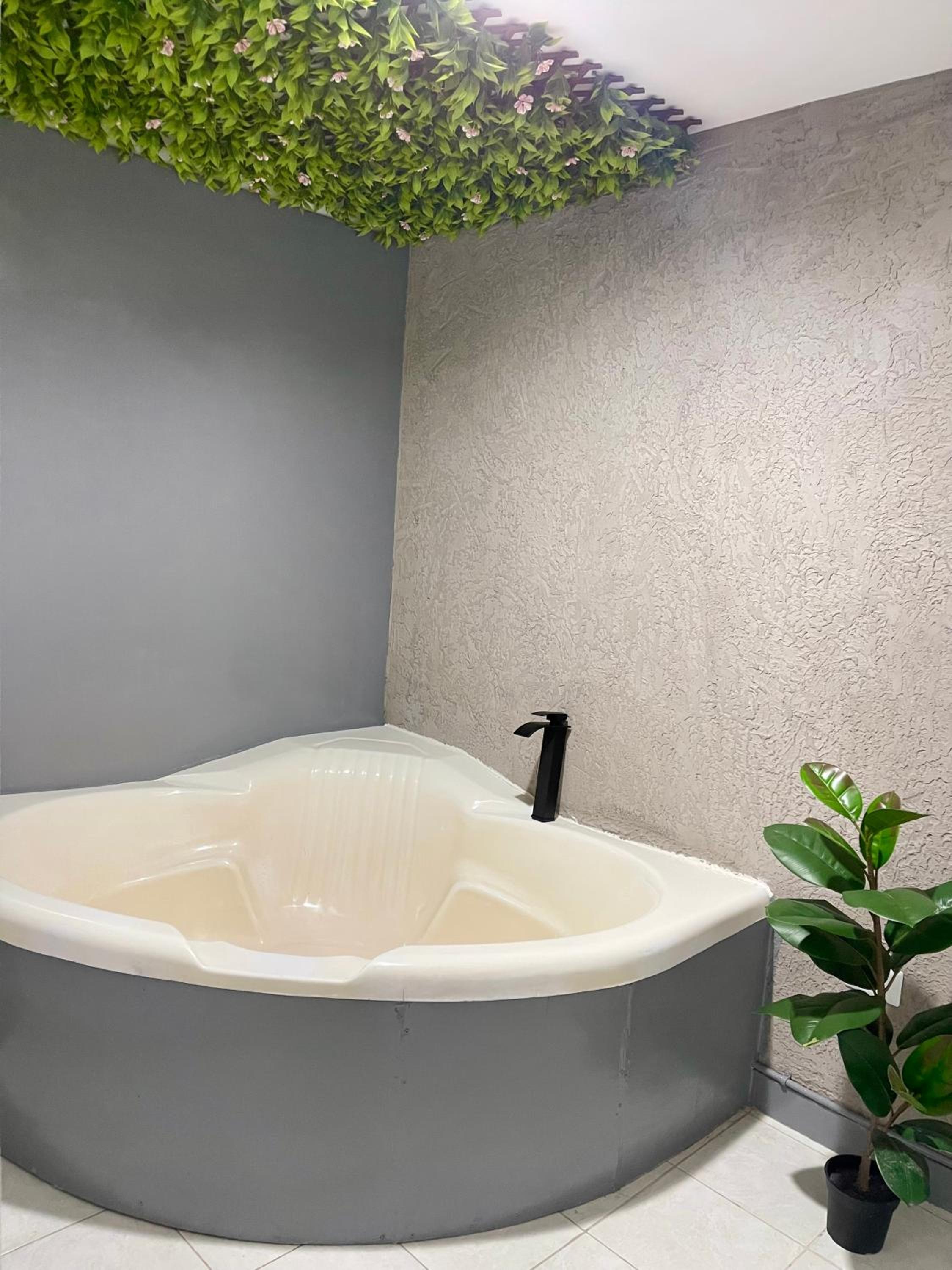 Deluxe One-Bedroom Apartment with Garden View photo 1