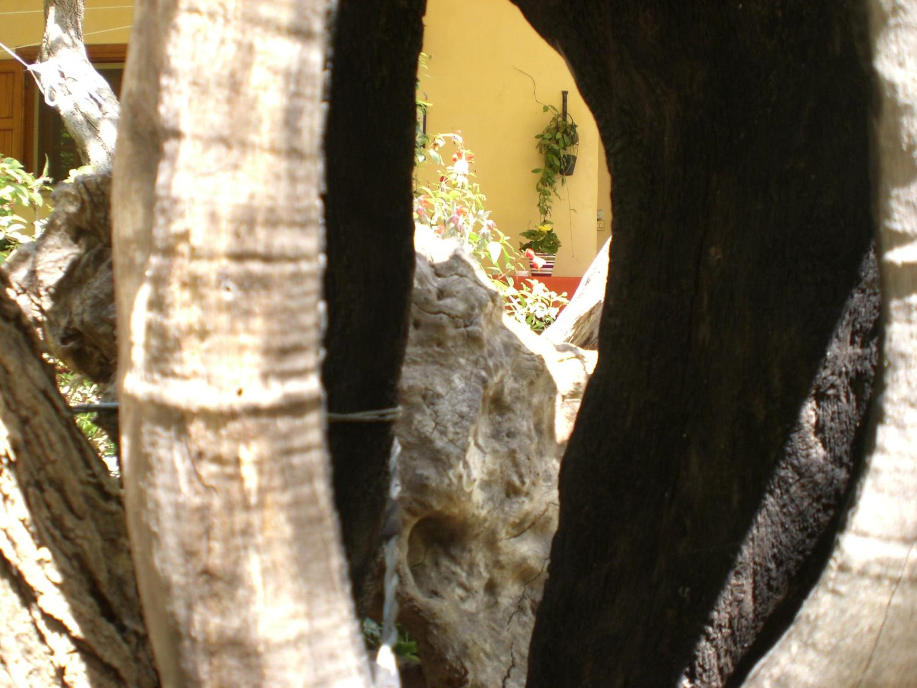 Quadruple Room with Balcony - Photo 2