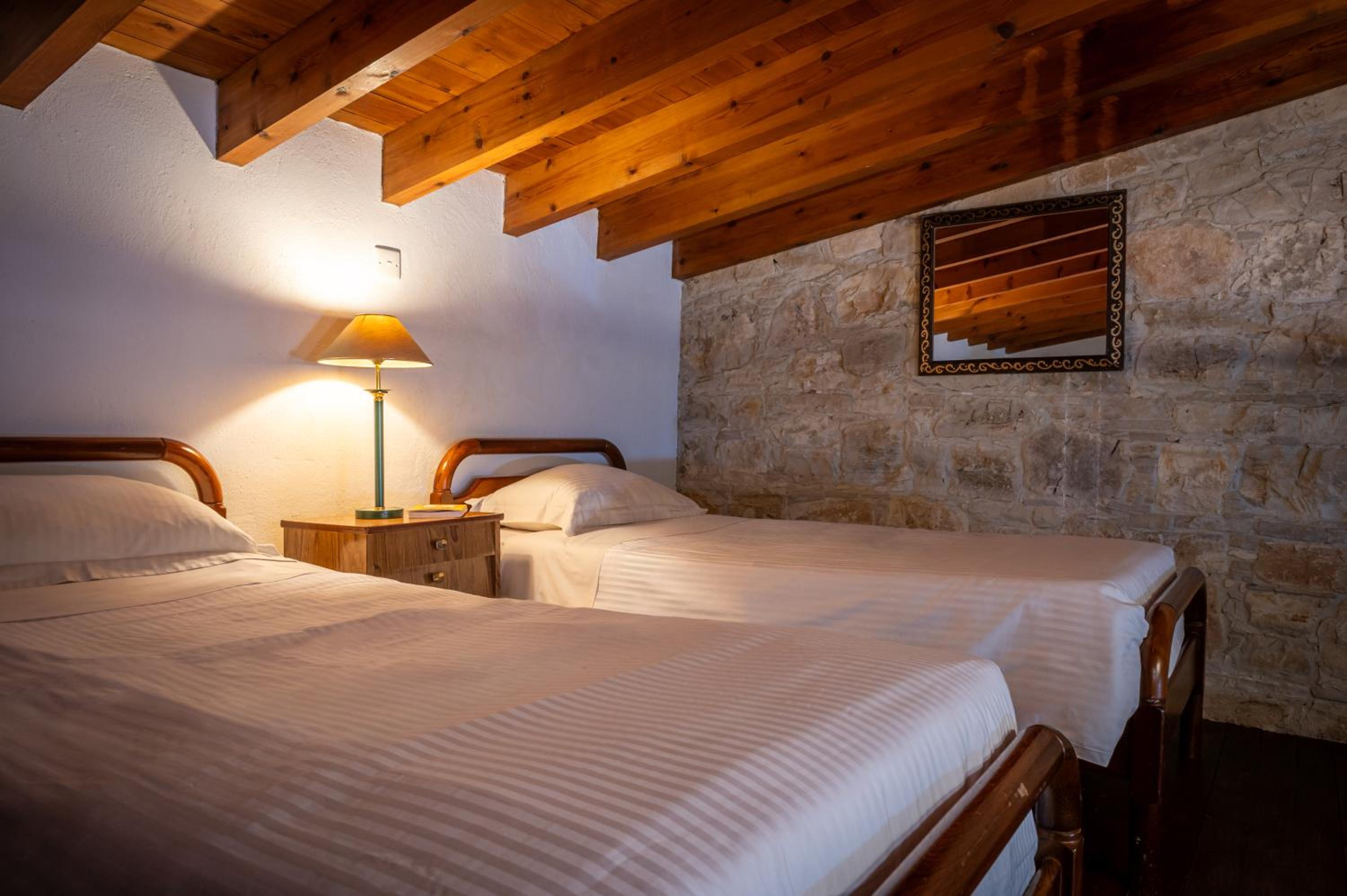 Superior Double or Twin Room with Mountain View