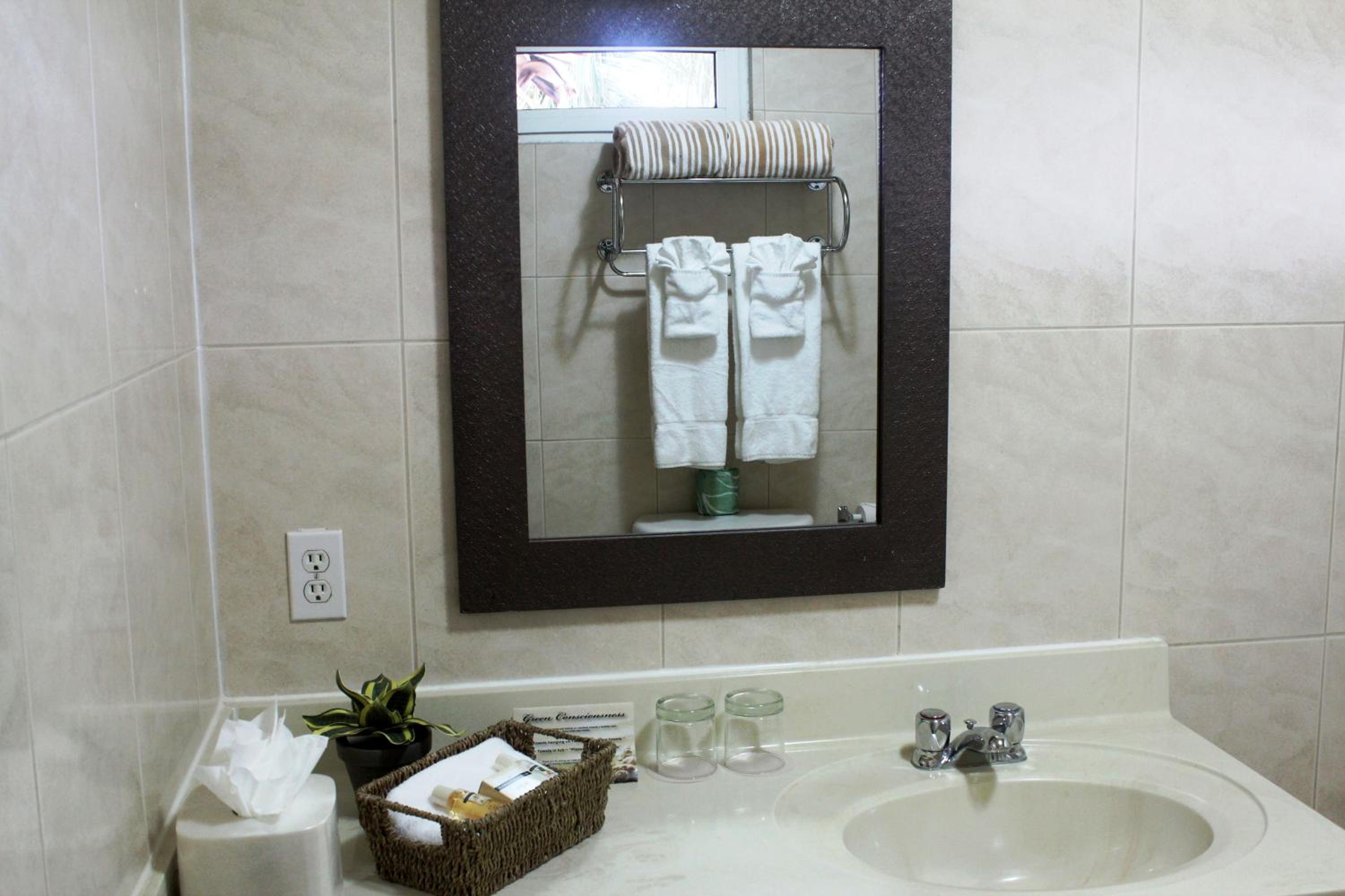 Superior One-Bedroom Apartment with Ocean View photo 3