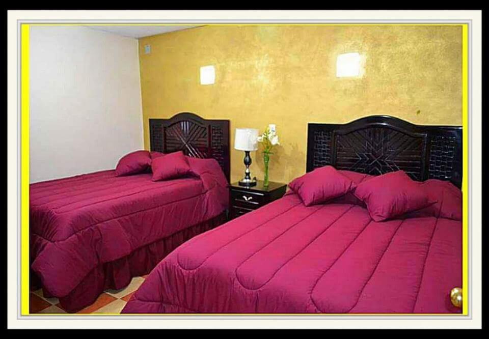Standard Double or Twin Room photo 1