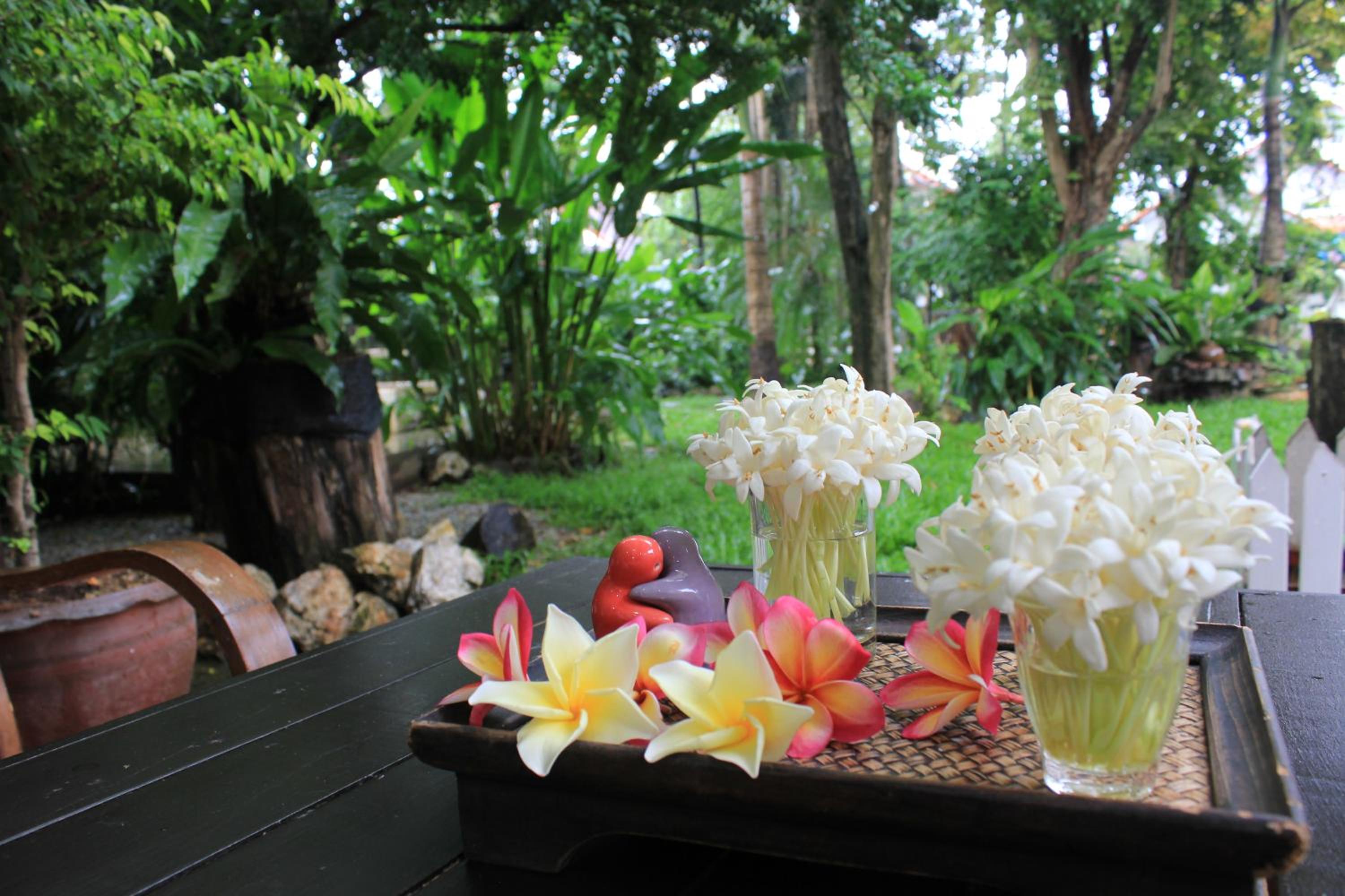 Studio with Garden View - Photo 14