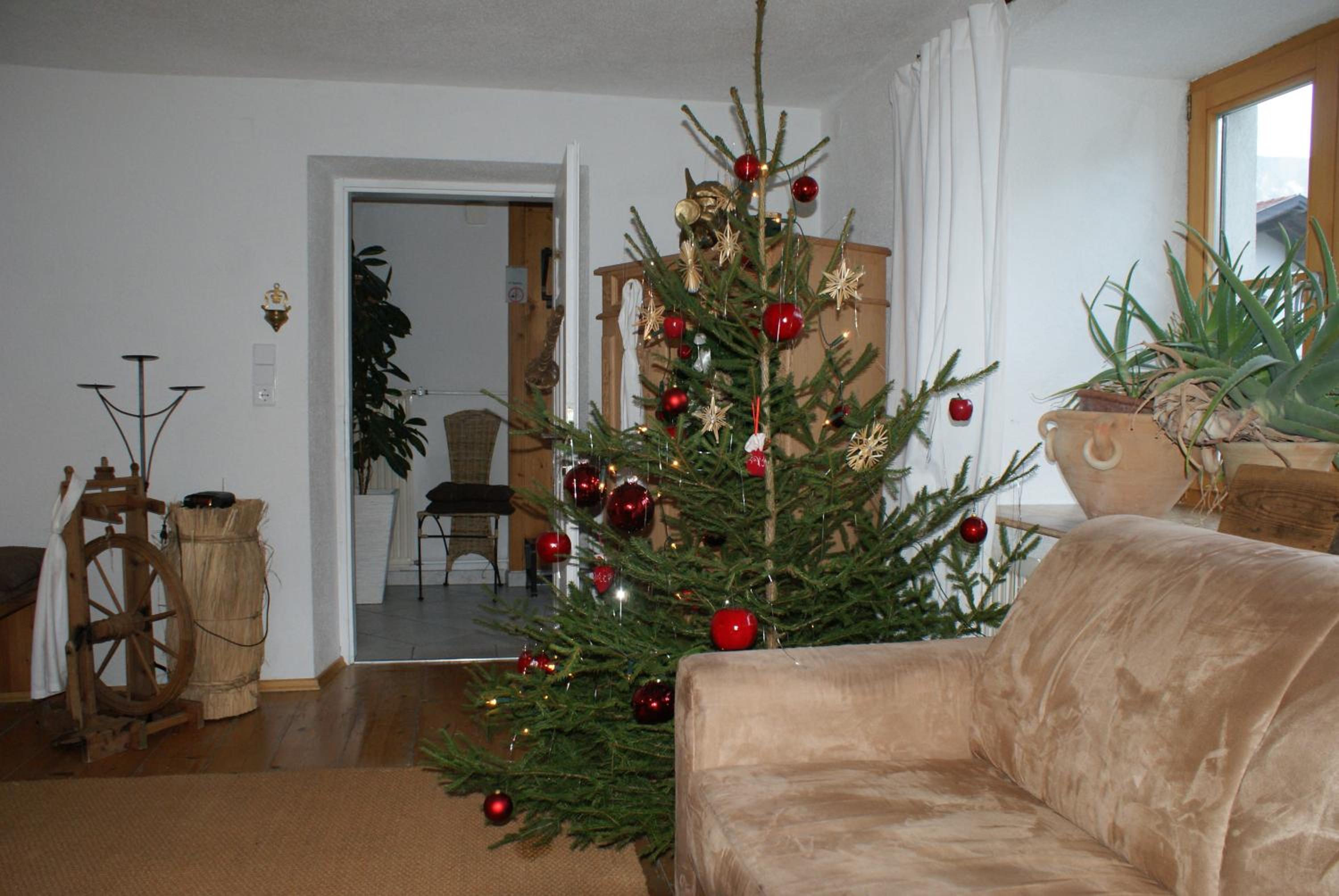 Two-Bedroom Apartment with Terrace - Photo 4