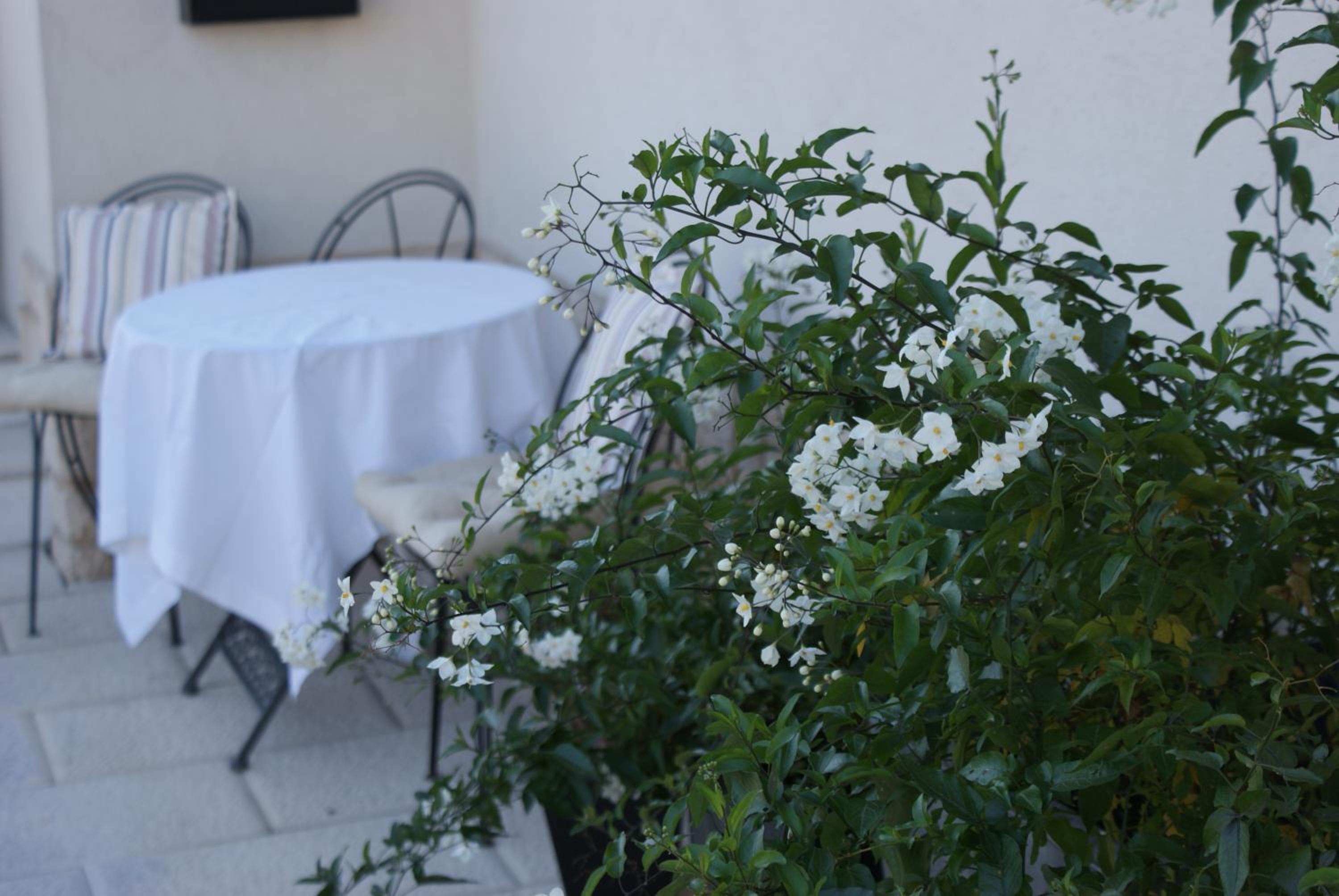 Two-Bedroom Apartment with Terrace - Photo 14