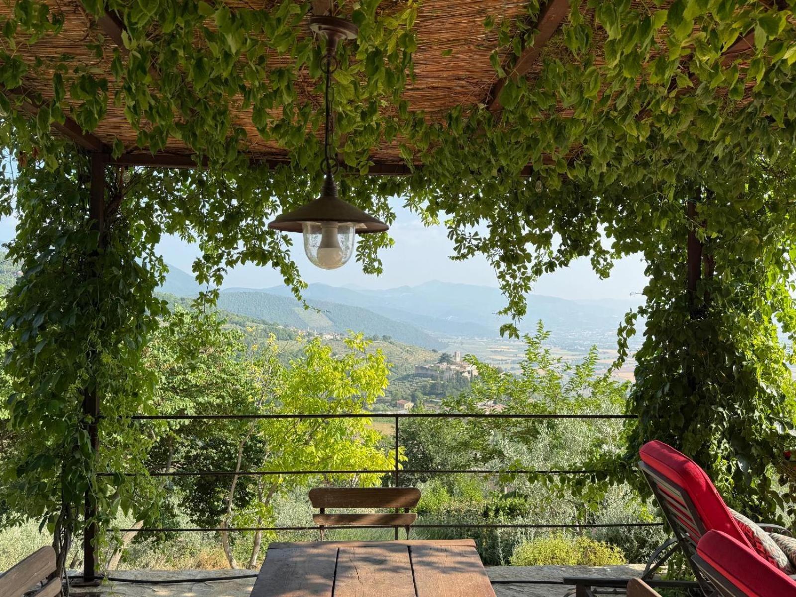 Premier Villa photo 3