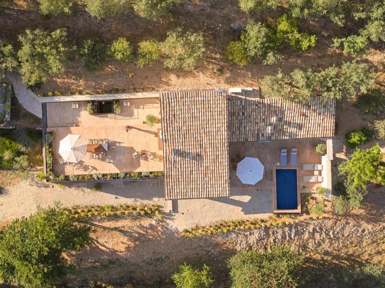 Luxury Villa photo 3