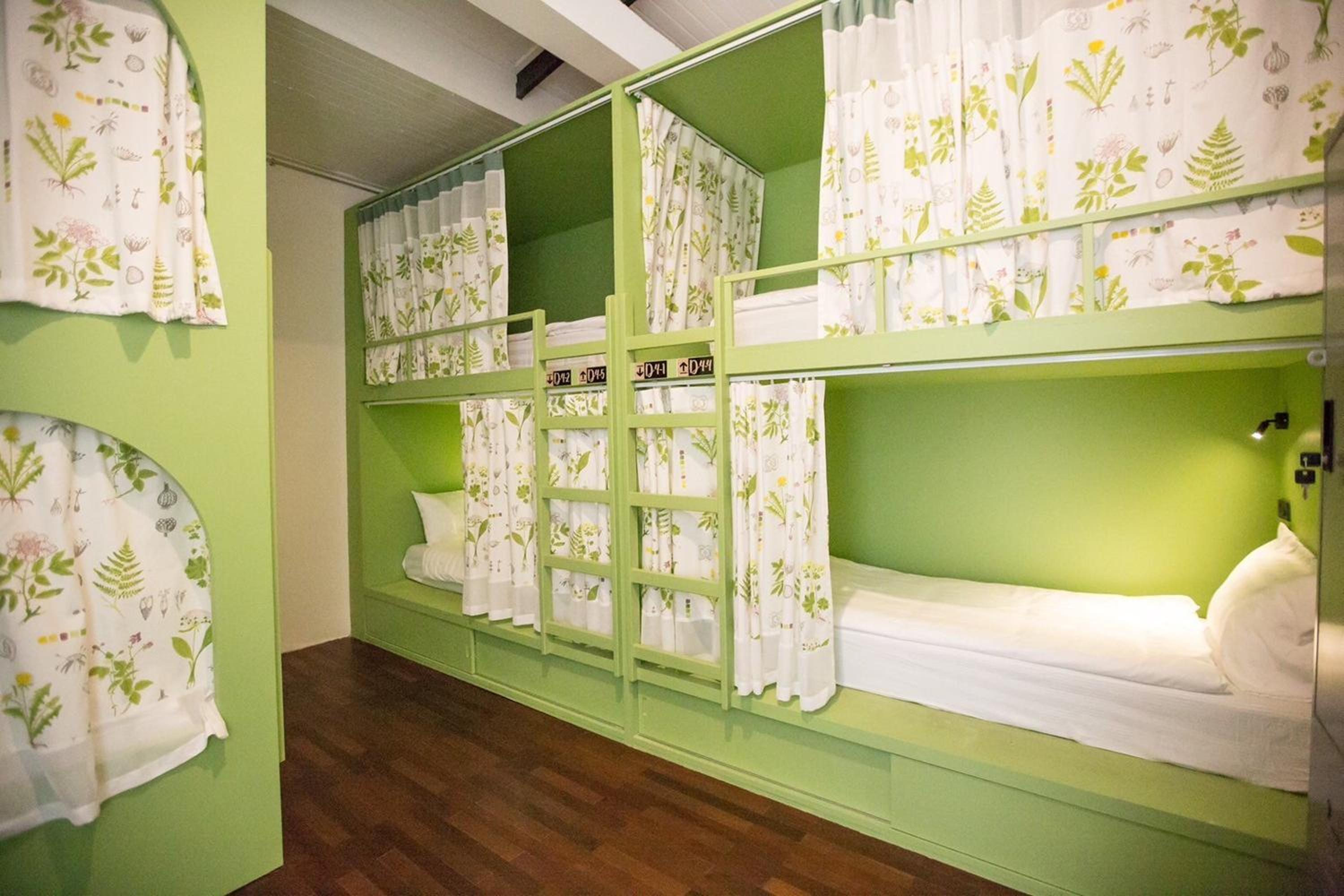 Bunk Bed in Mixed Dormitory Room photo 1