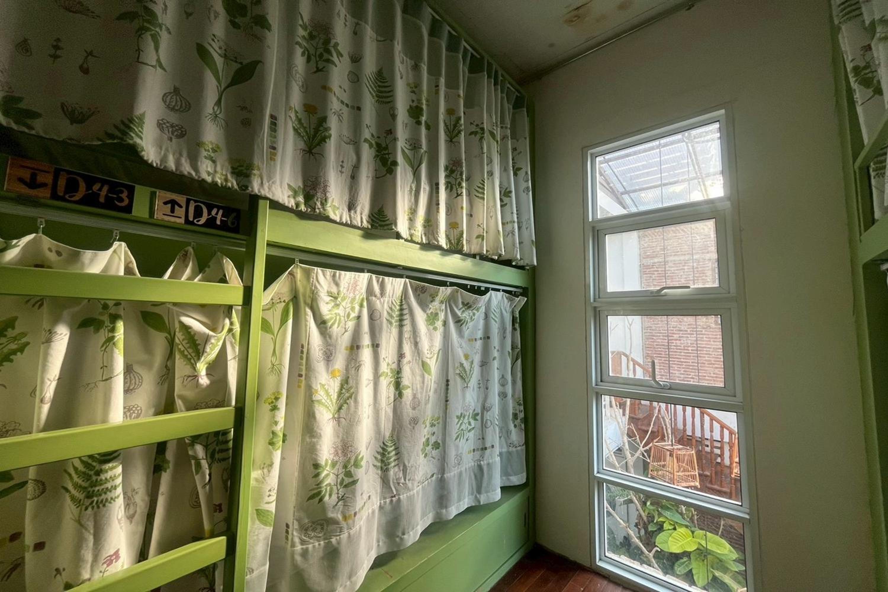 Bunk Bed in Mixed Dormitory Room photo 3