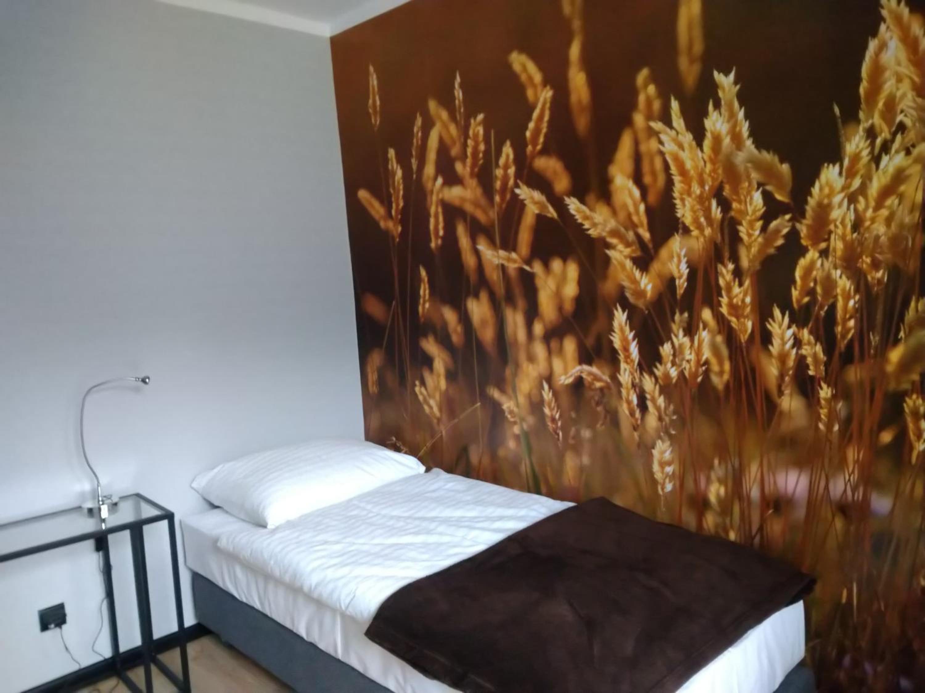 Deluxe Single Room with Balcony photo 2