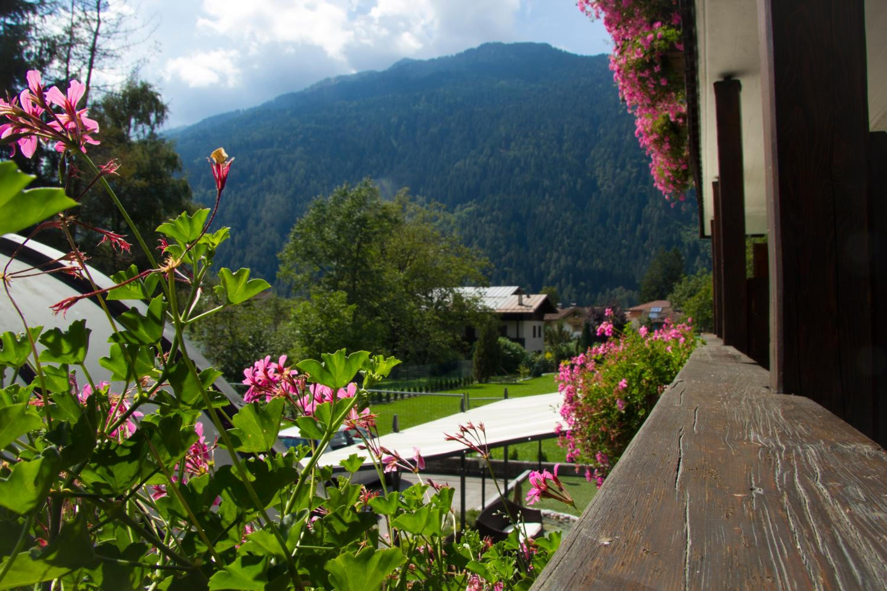 Double Room with Balcony photo 3