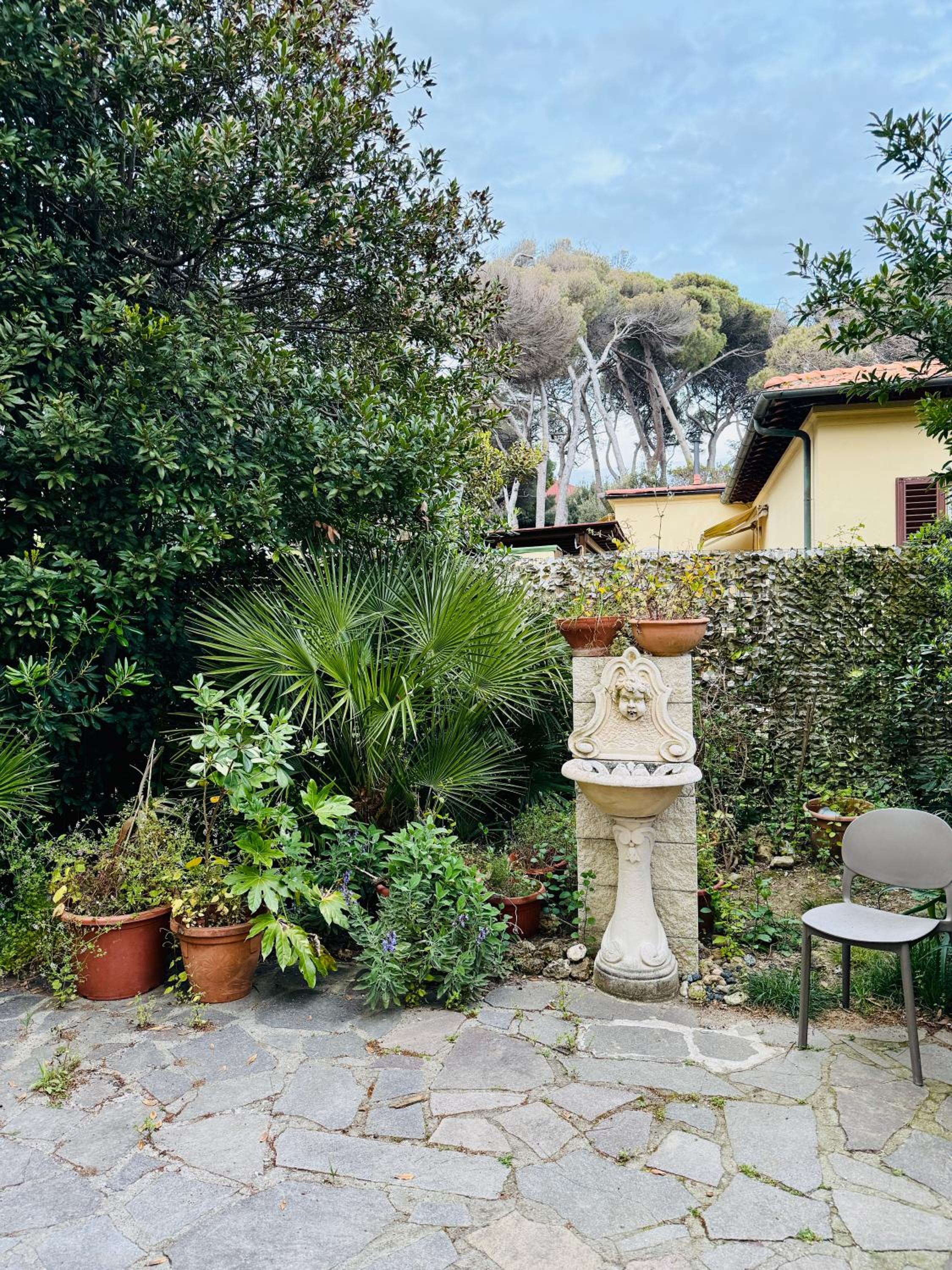 King Room with Garden View