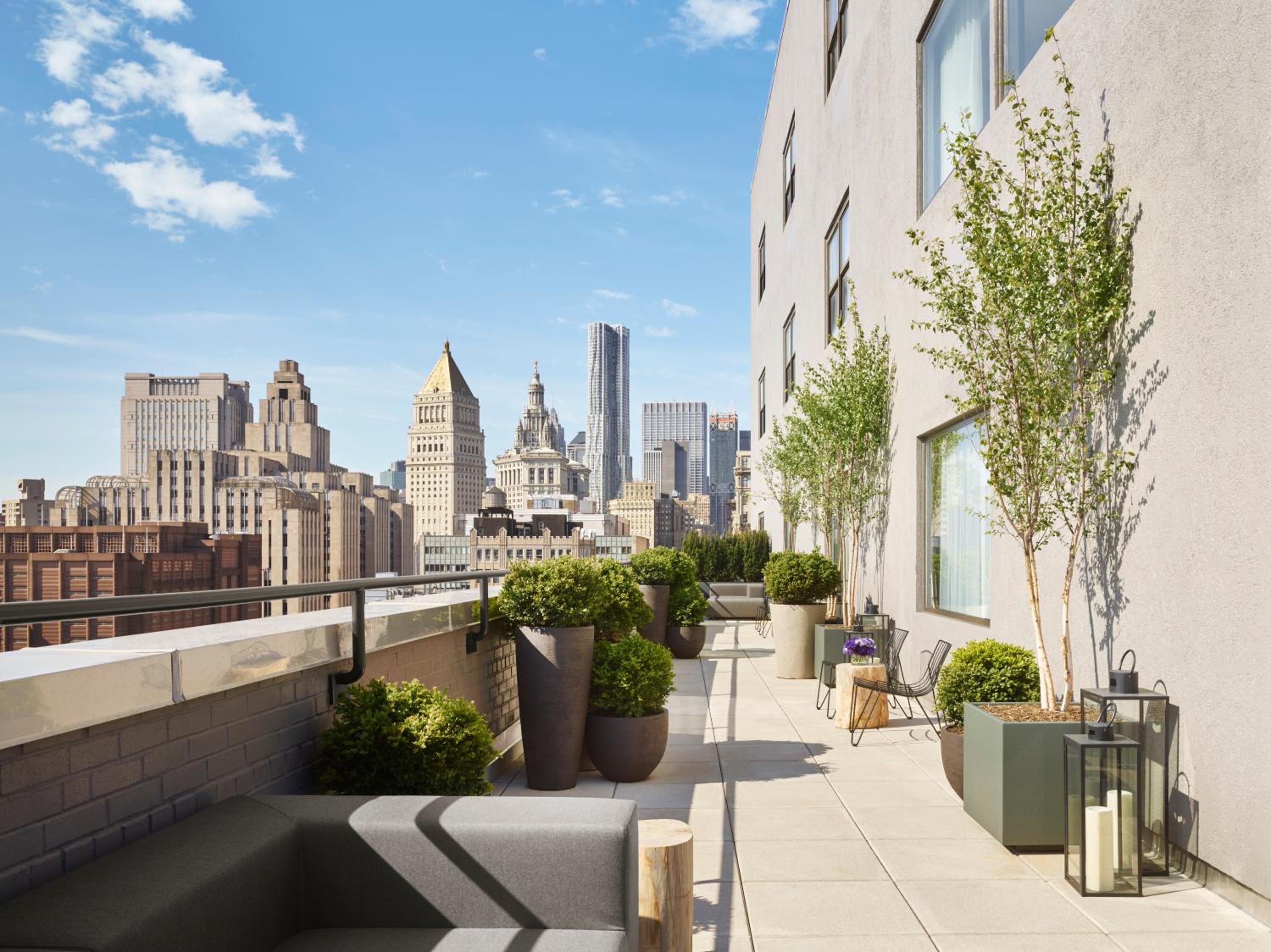 Suite with Terrace photo 3