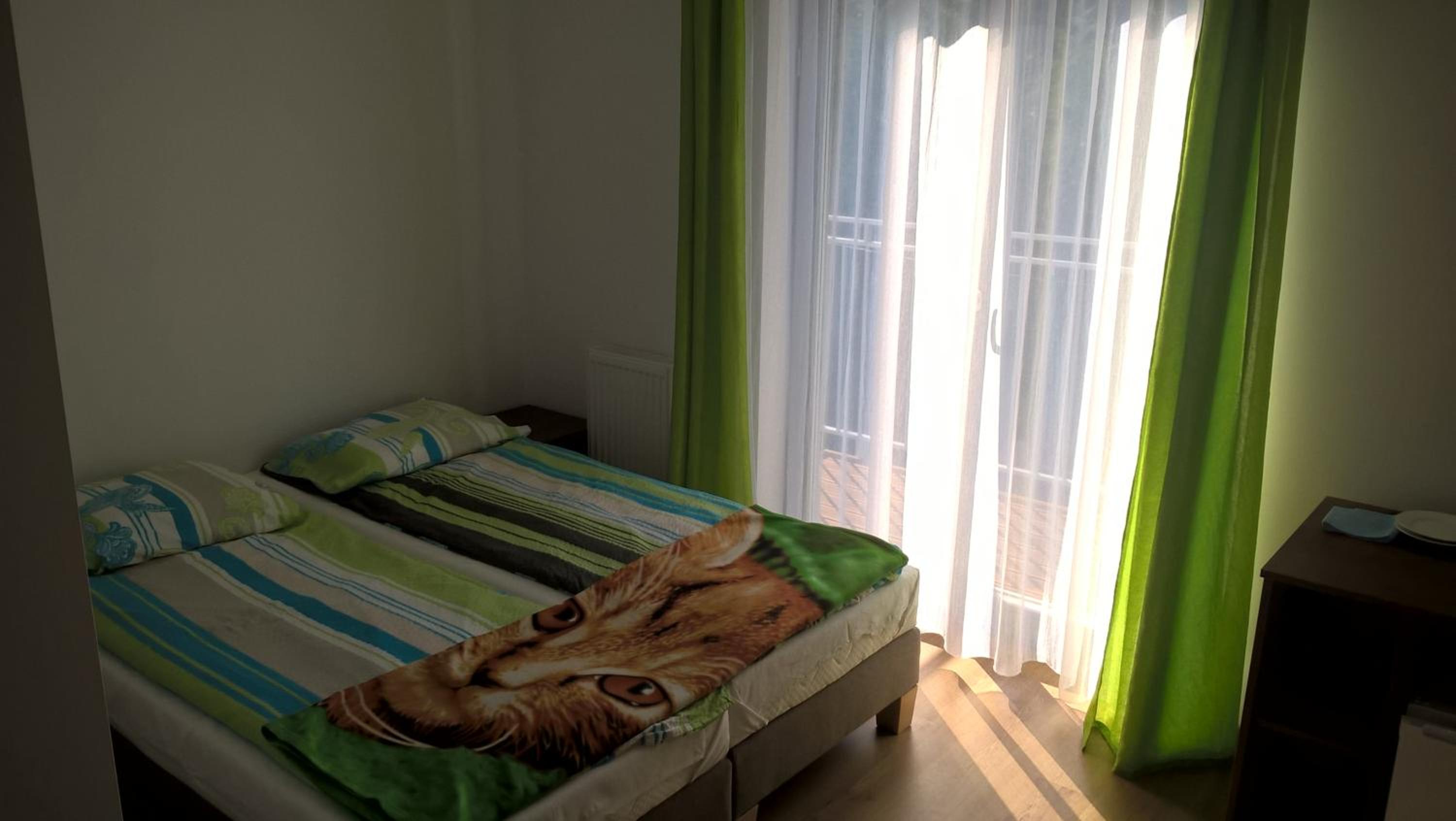Double Room with Balcony photo 1