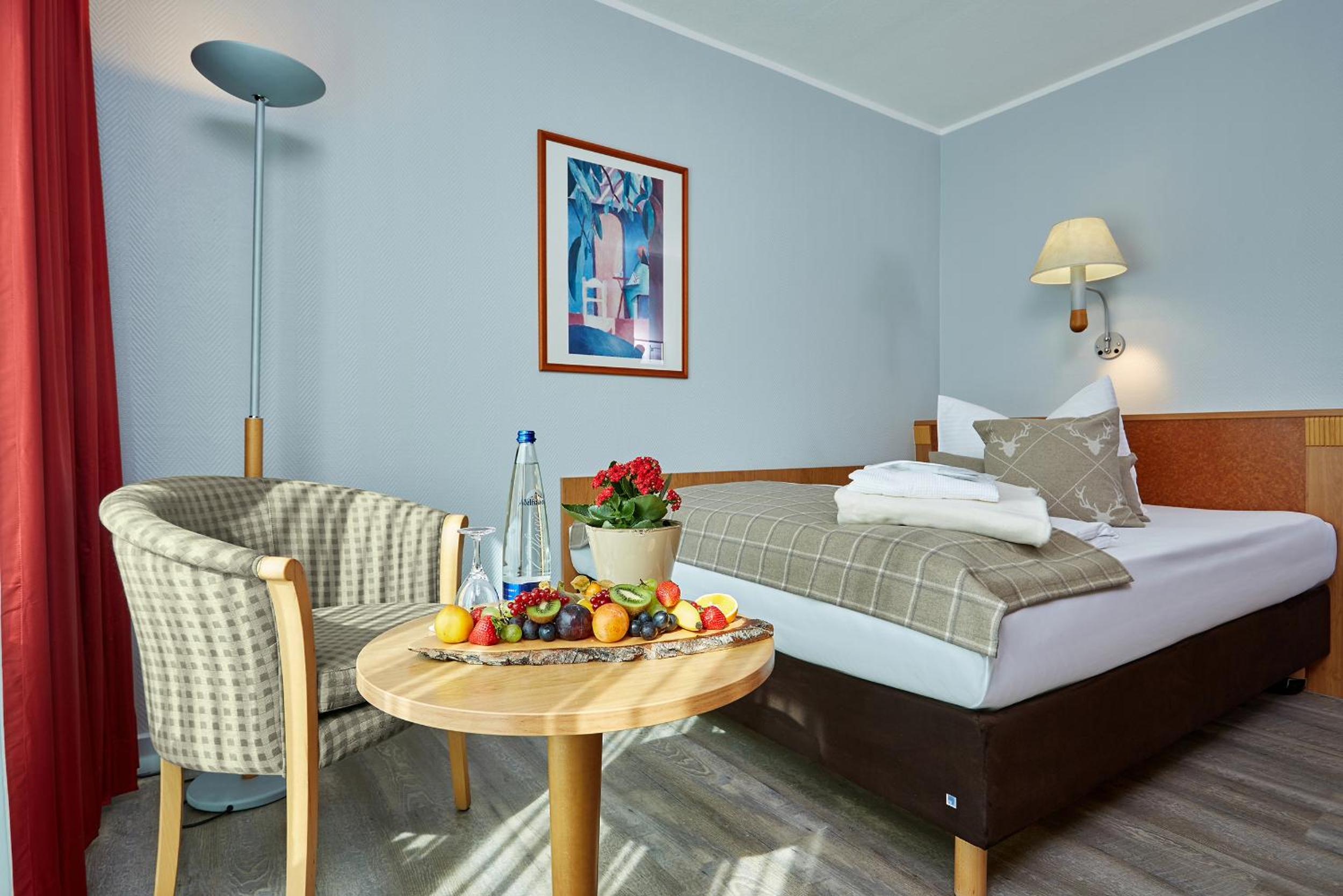 Junior Room with Mountain View (street side) - Photo 2