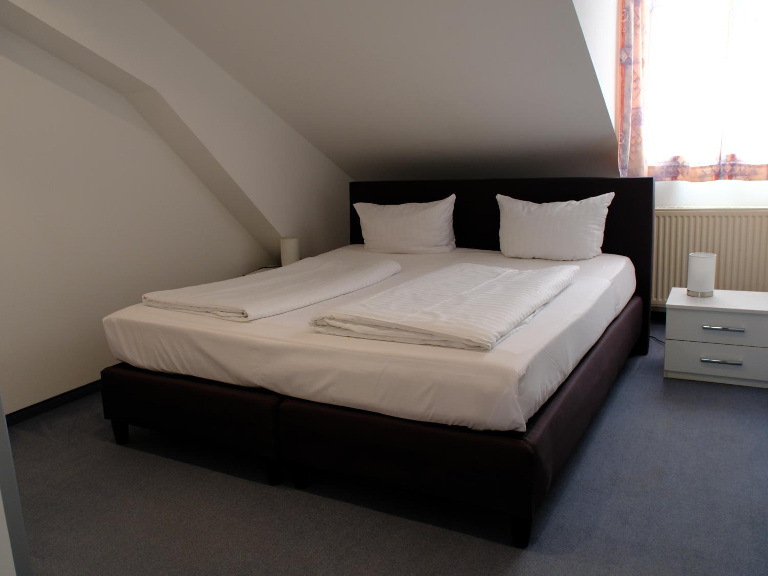 Large One-Bedroom Apartment photo 2