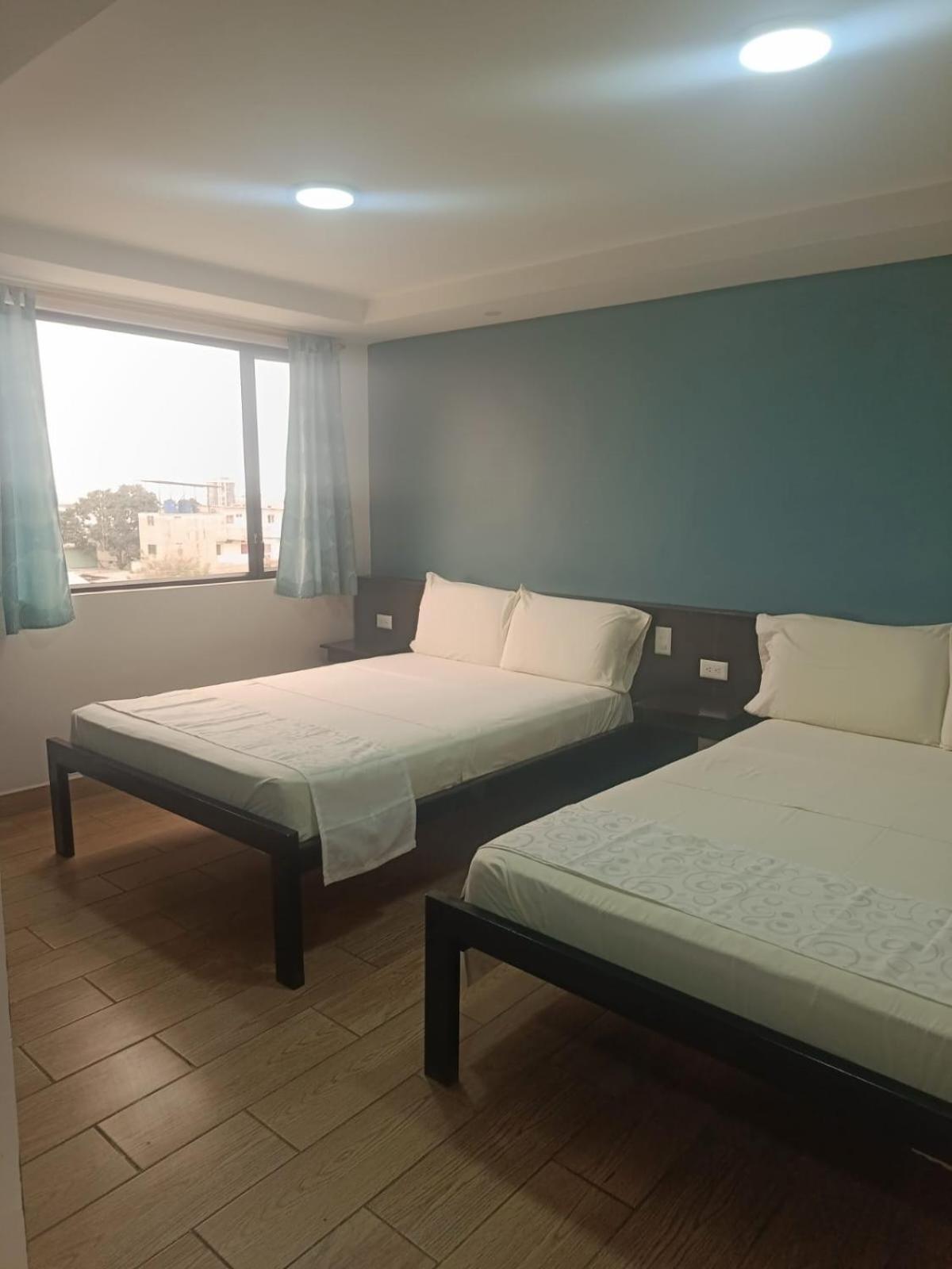 Twin Room photo 3