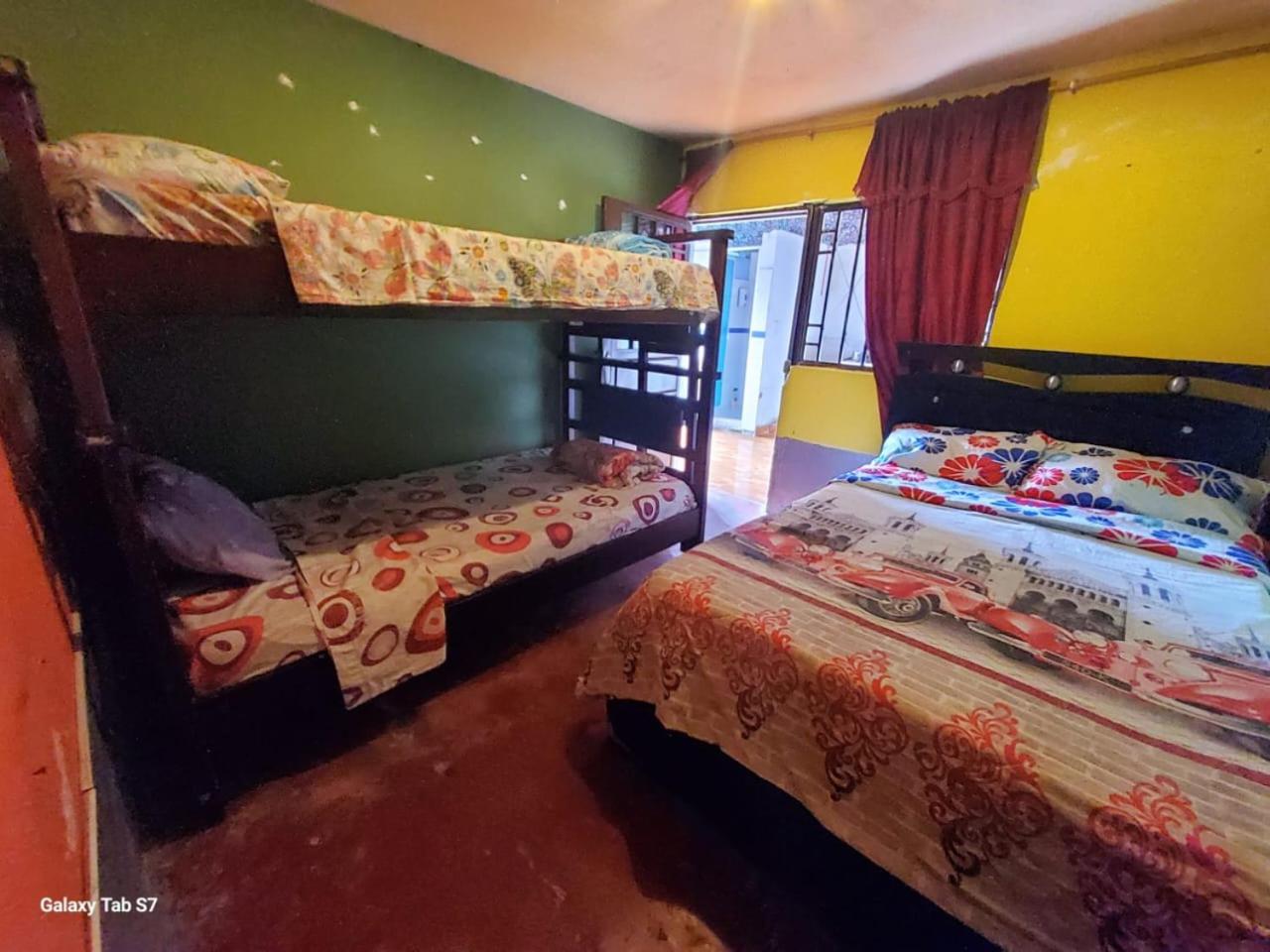 Bunk Bed in Mixed Dormitory Room