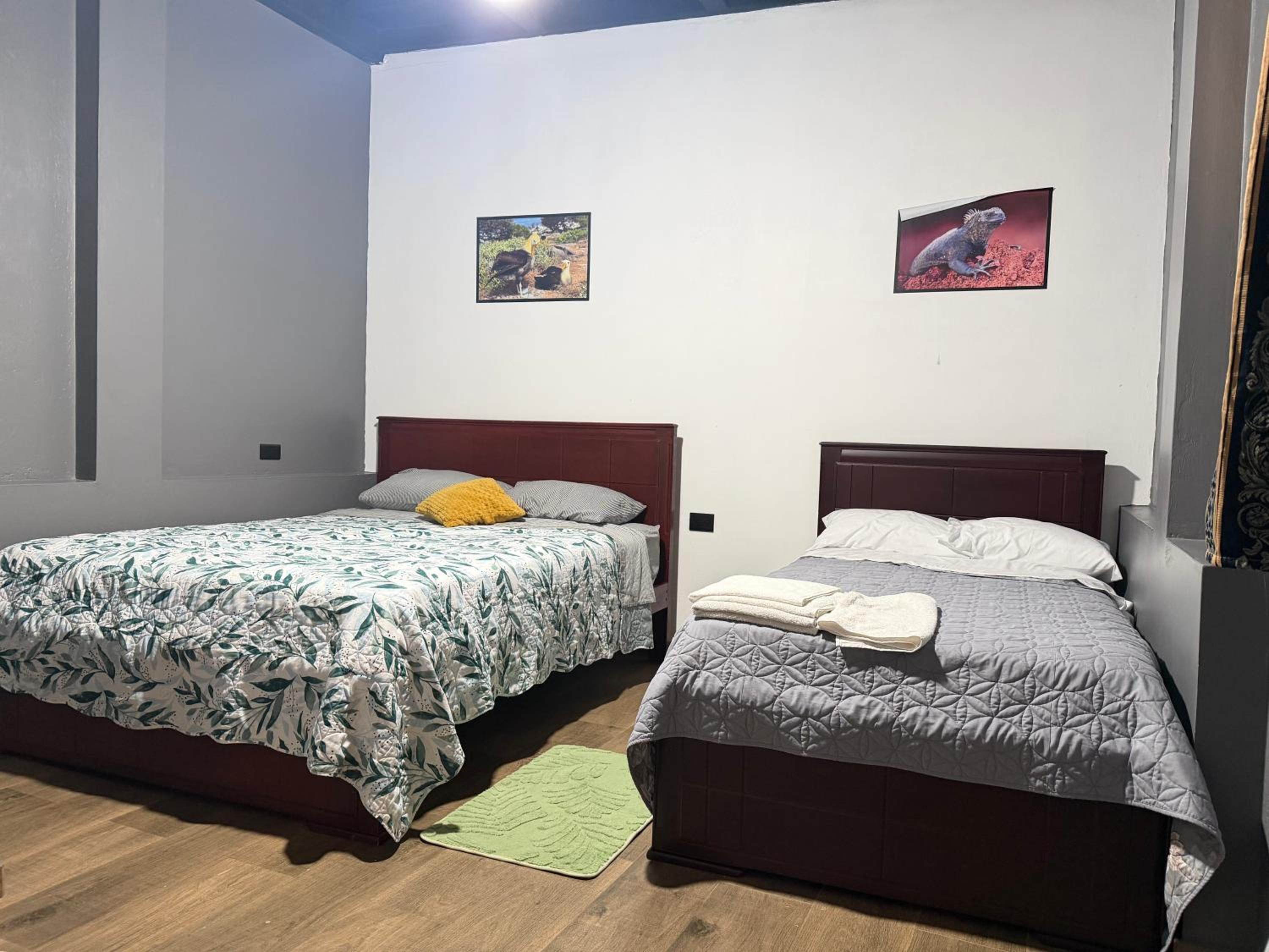 Twin Room with Terrace photo 1