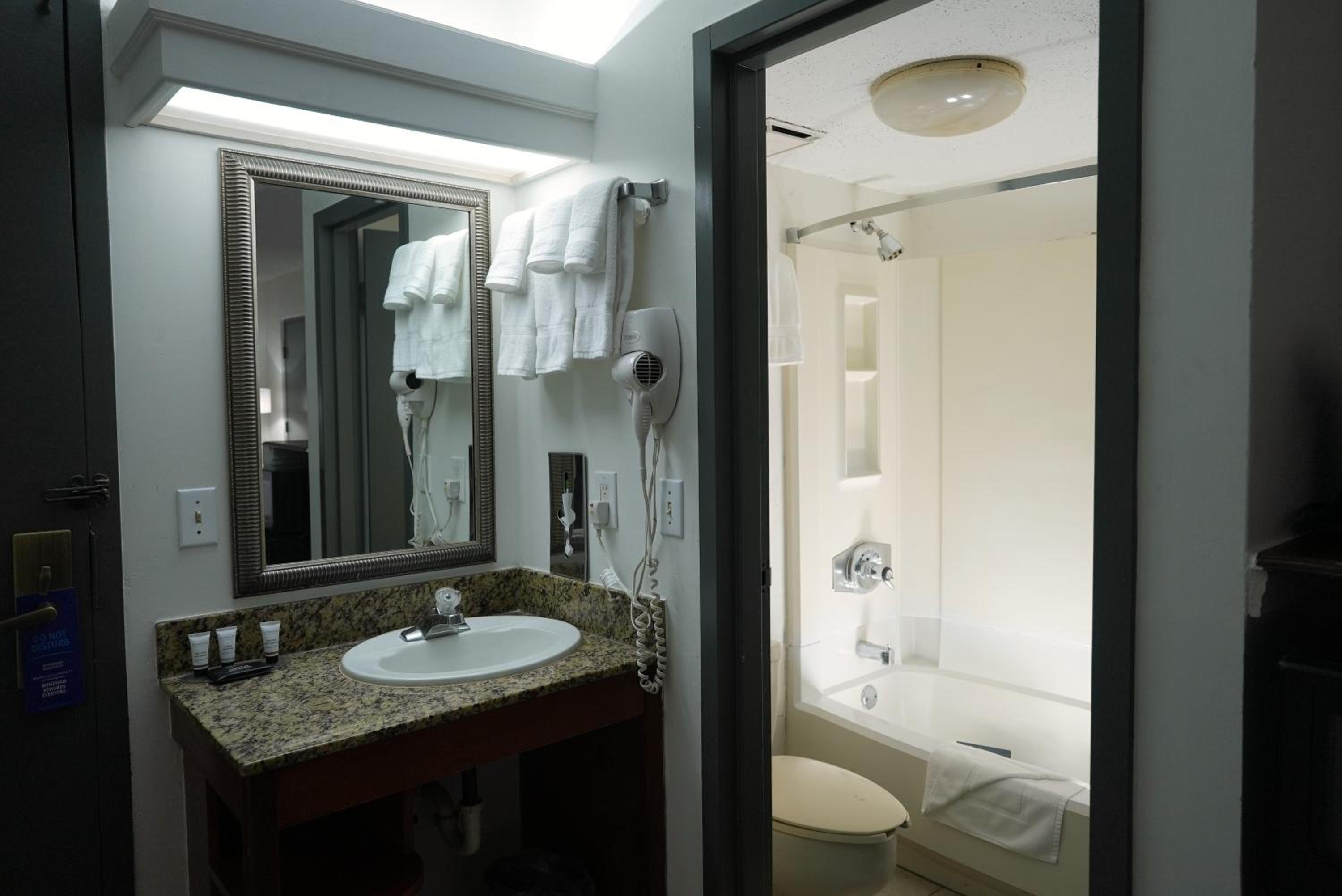 One-Bedroom Deluxe King Suite - Non-Smoking - Photo 4