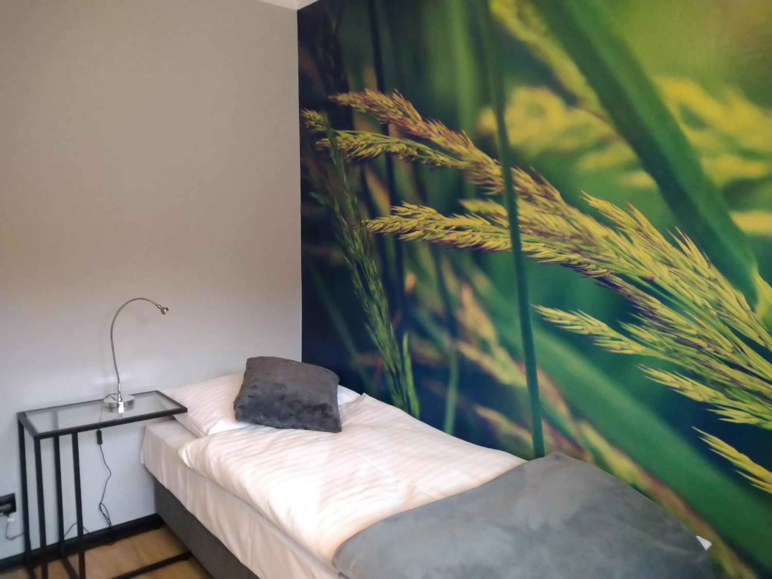Deluxe Single Room with Balcony photo 1