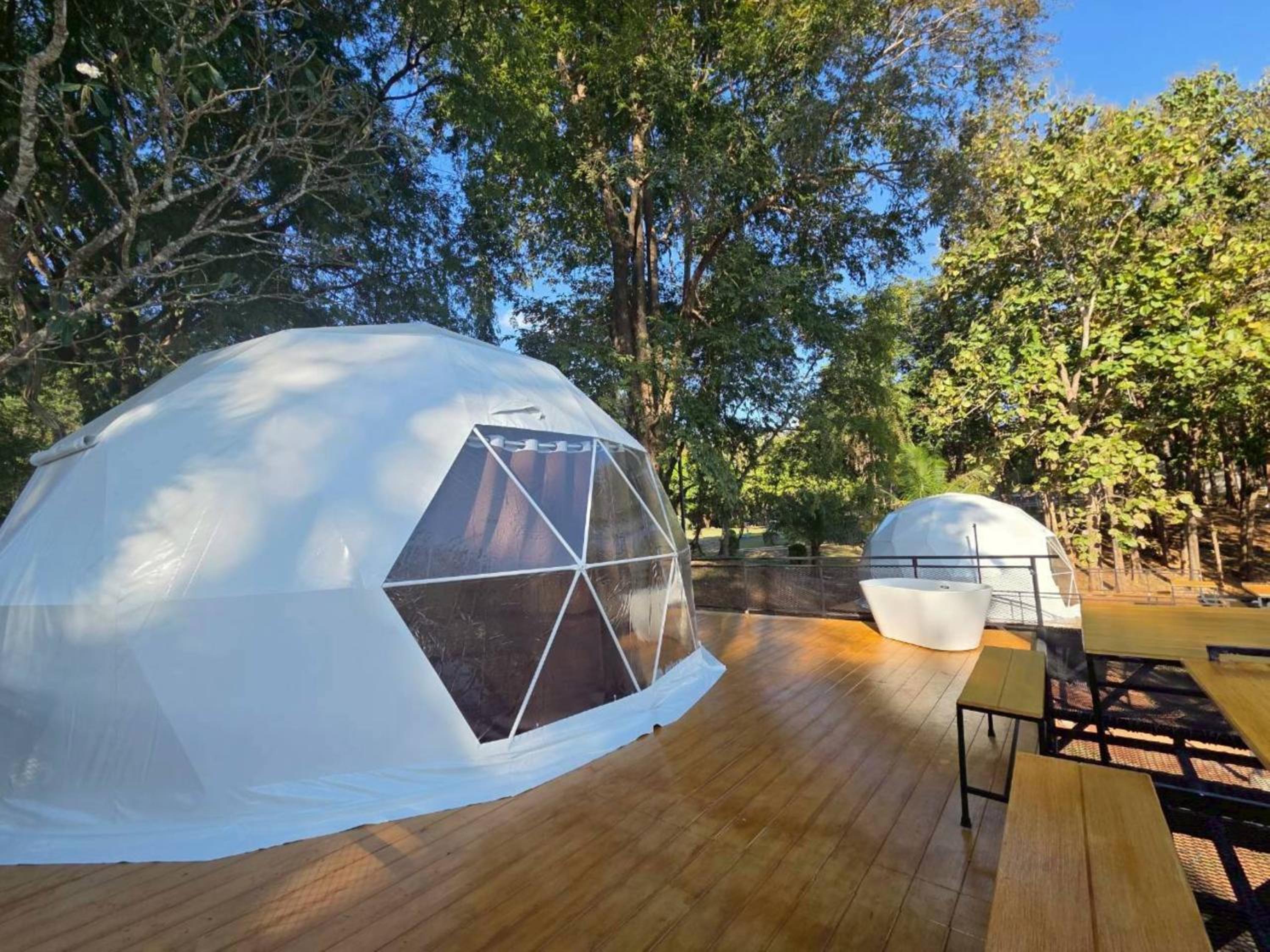 Premium Quadruple Room - Photo 4
