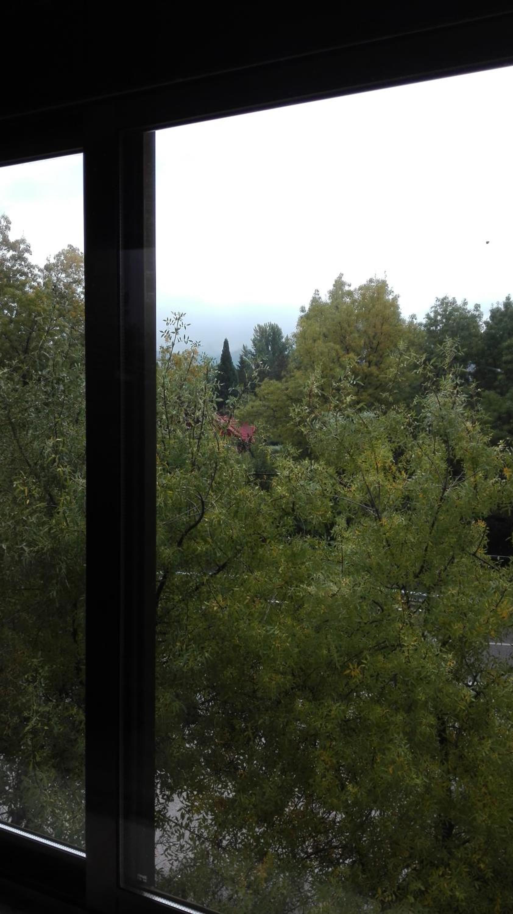 Twin Room - Photo 5