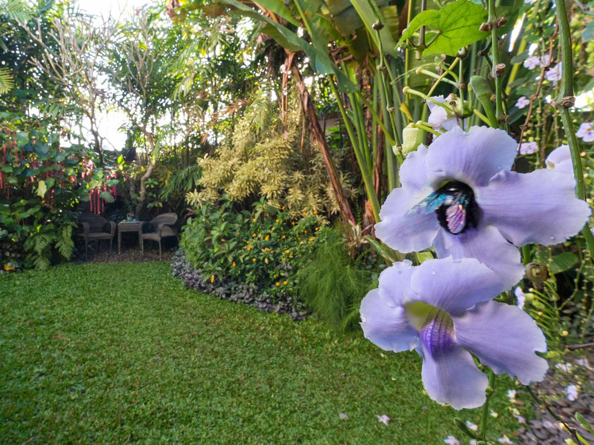 Three-Bedroom Villa with Private Pool and Garden View with Free Benefit - Photo 20