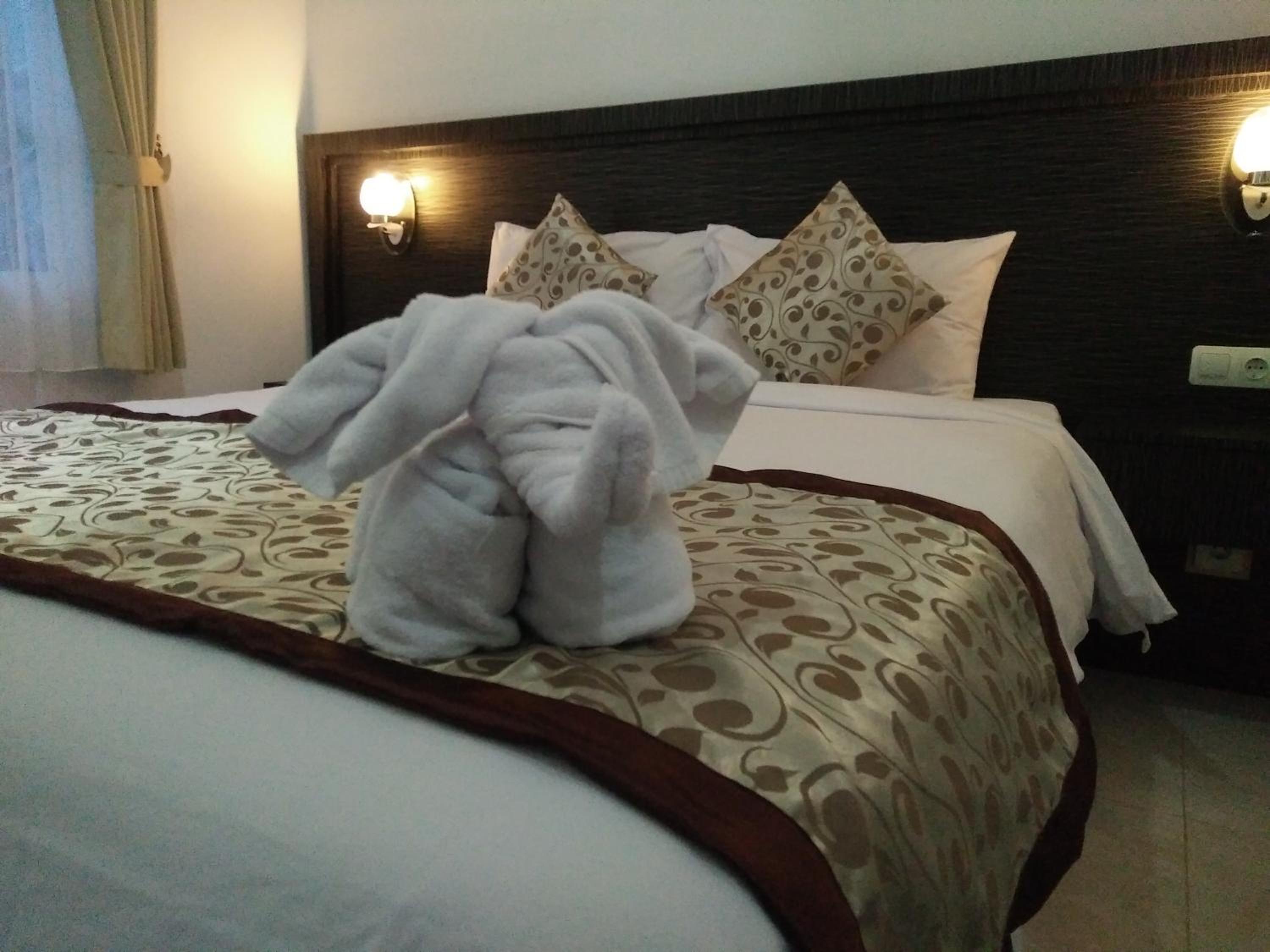 Deluxe Double Room photo 2