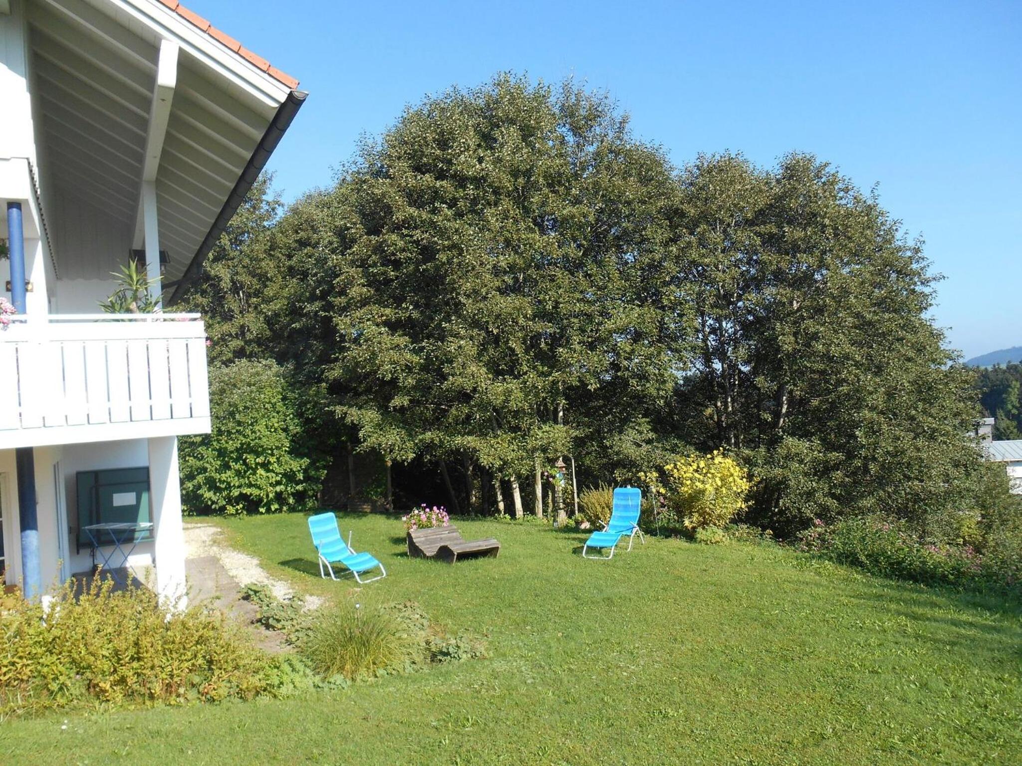 Apartment With Terrace photo 3