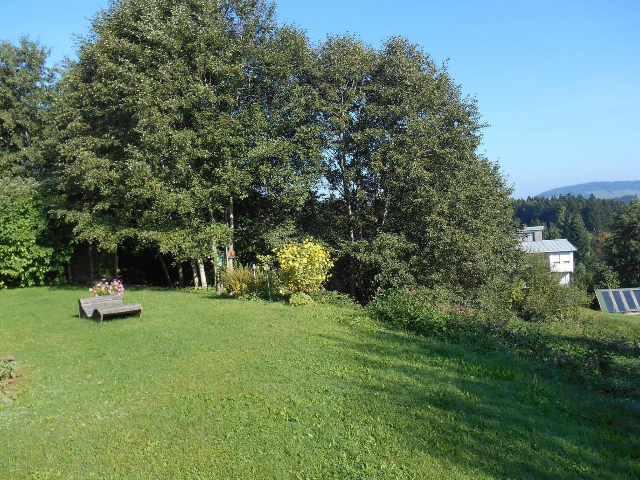 Apartment With Terrace photo 2