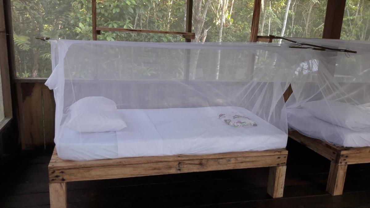 Single Bed in Mixed Dormitory Room photo 1