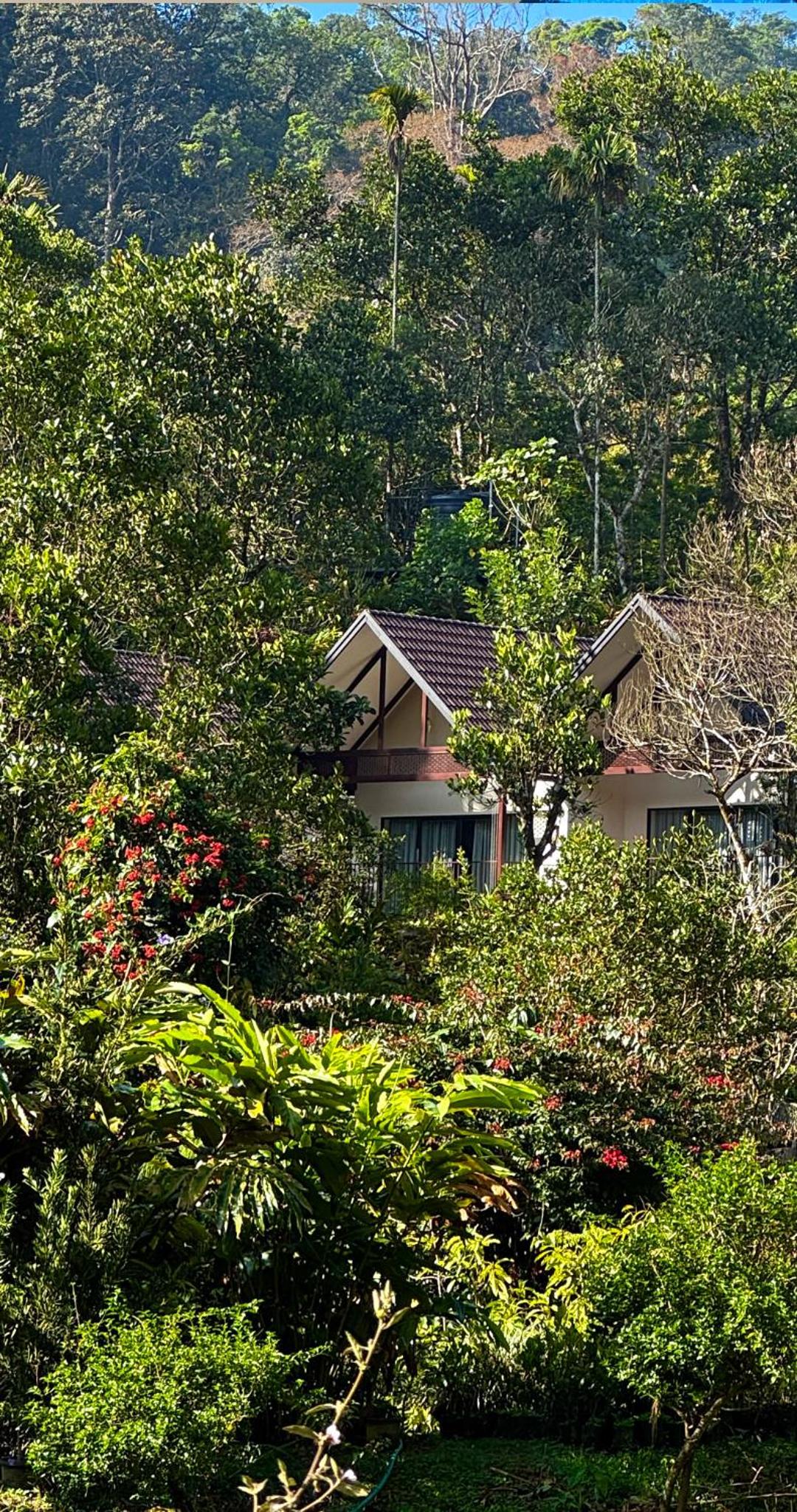 Superior Villa photo 1