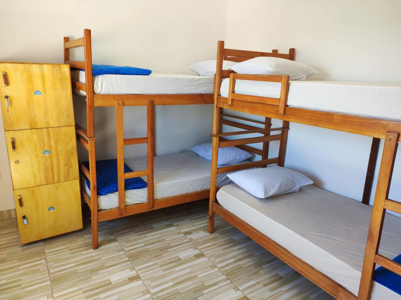 6-Bed Female Dormitory Room photo 2