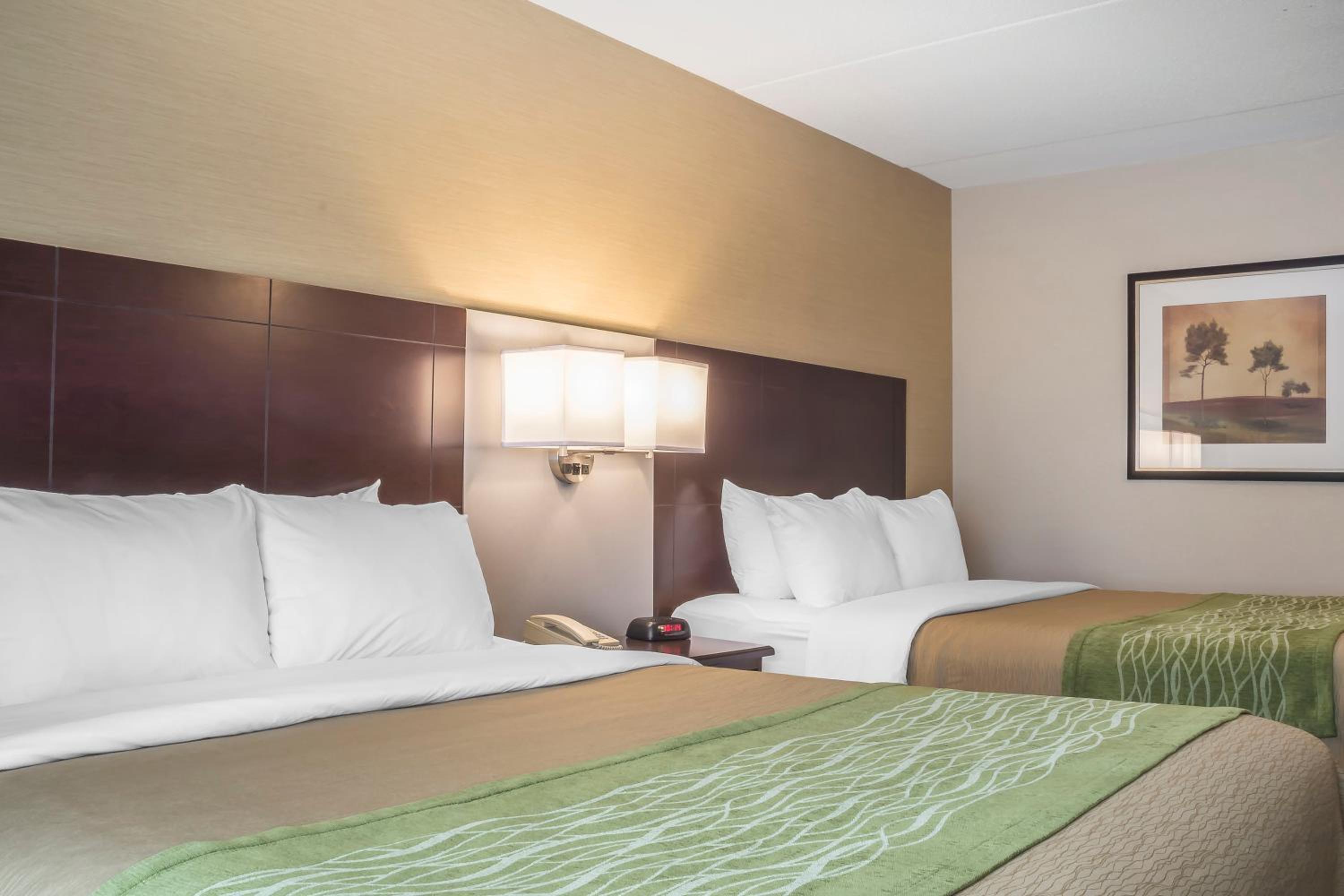 Queen Room with Two Queen Beds - Ground Floor - Non-Smoking - Photo 4