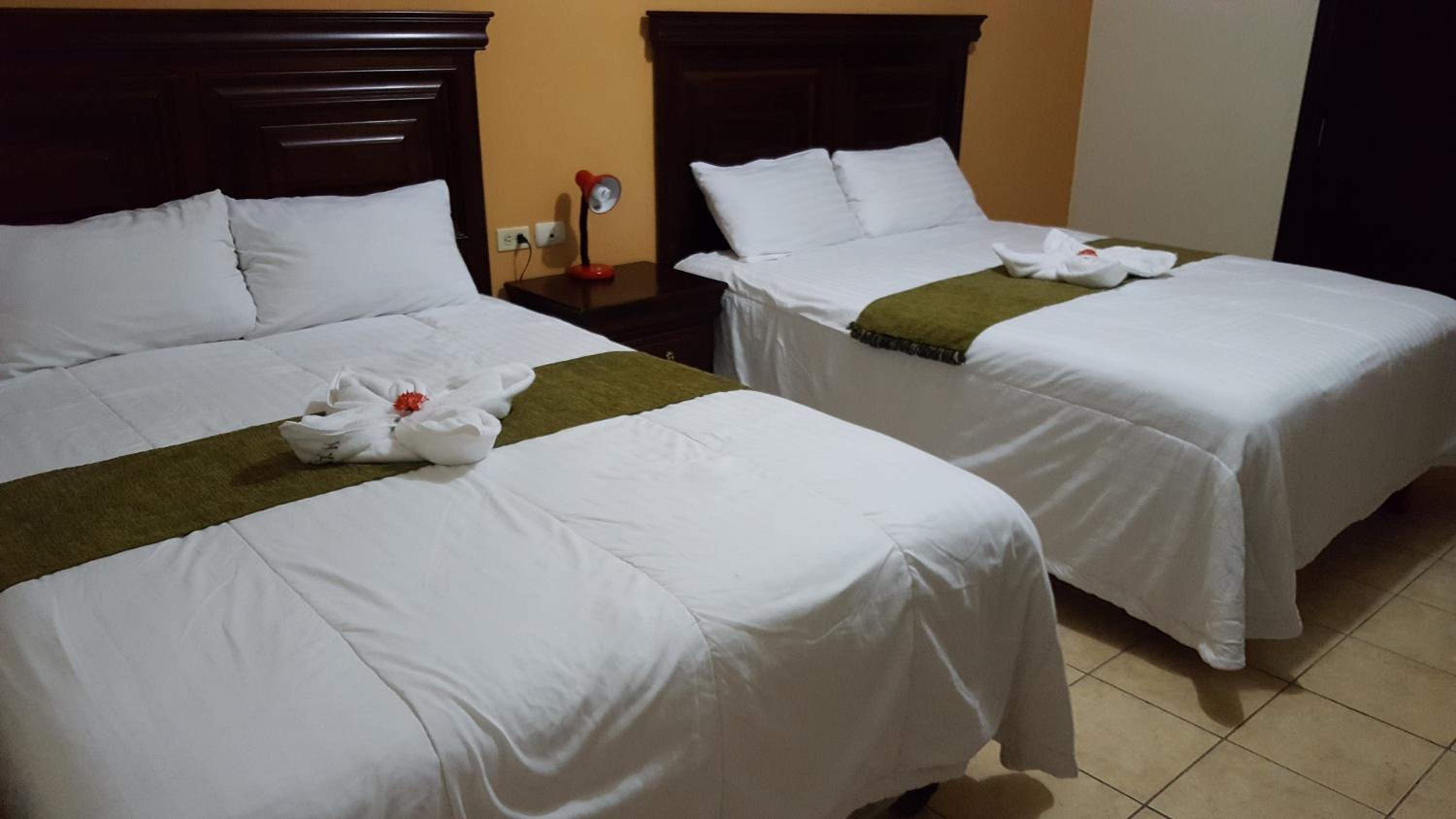 Twin Room photo 3