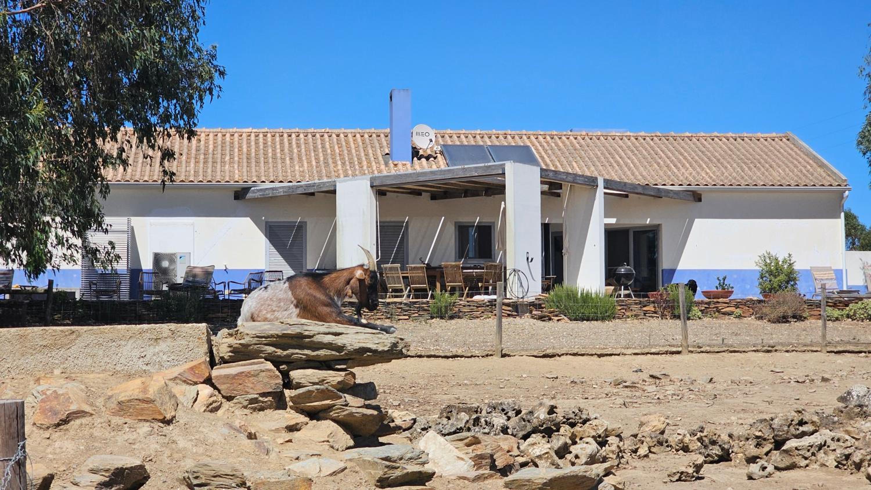 Three-Bedroom Villa photo 2