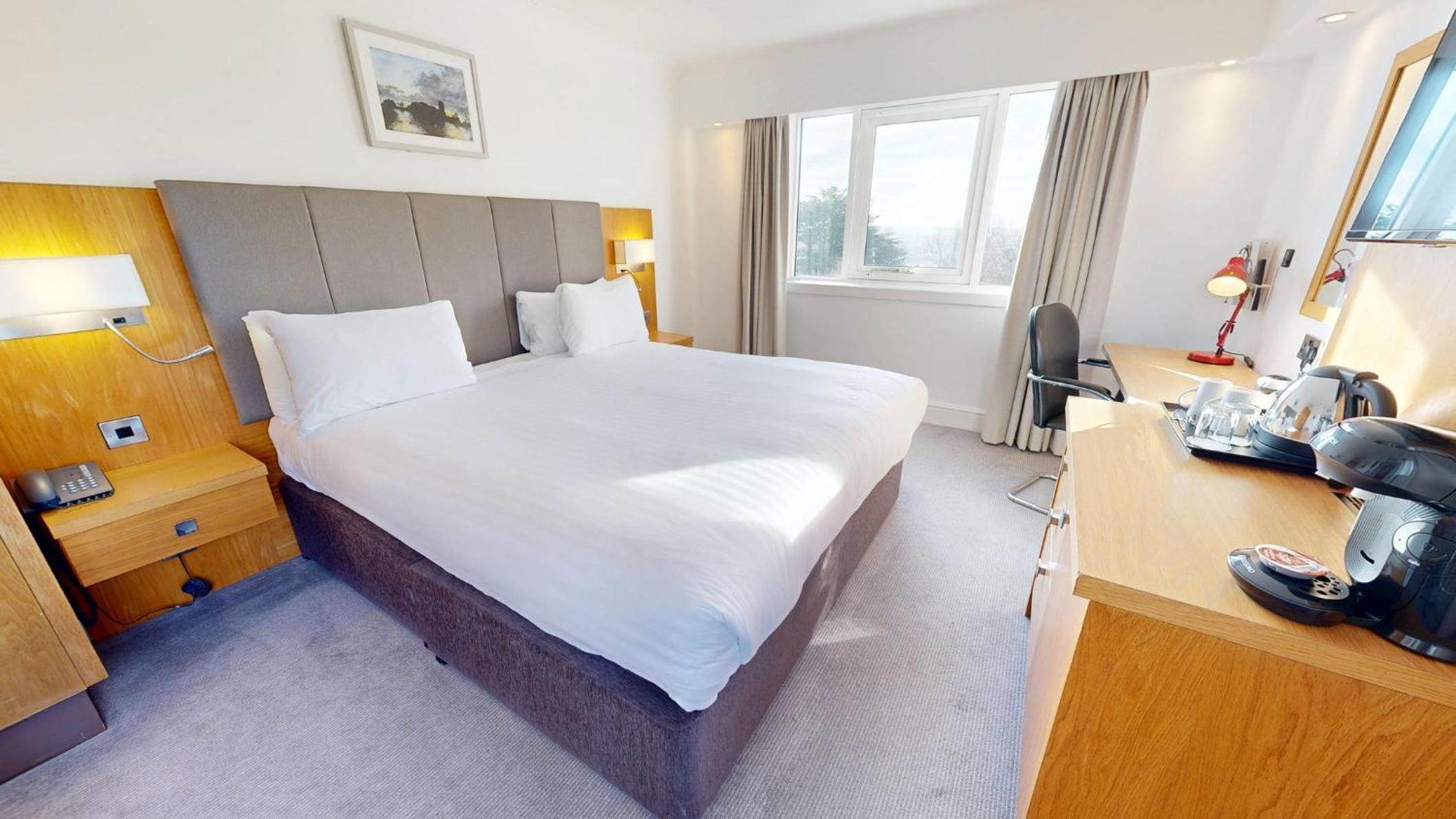 King Studio Suite - Photo 2
