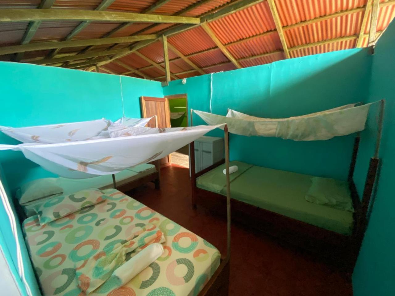 Mixed Dormitory Room photo 2
