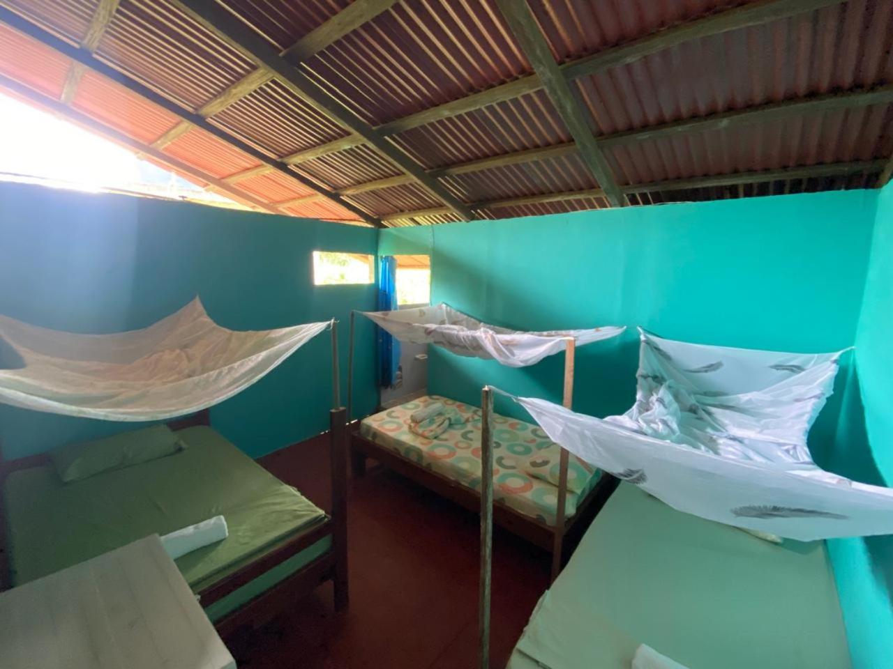 Mixed Dormitory Room photo 1