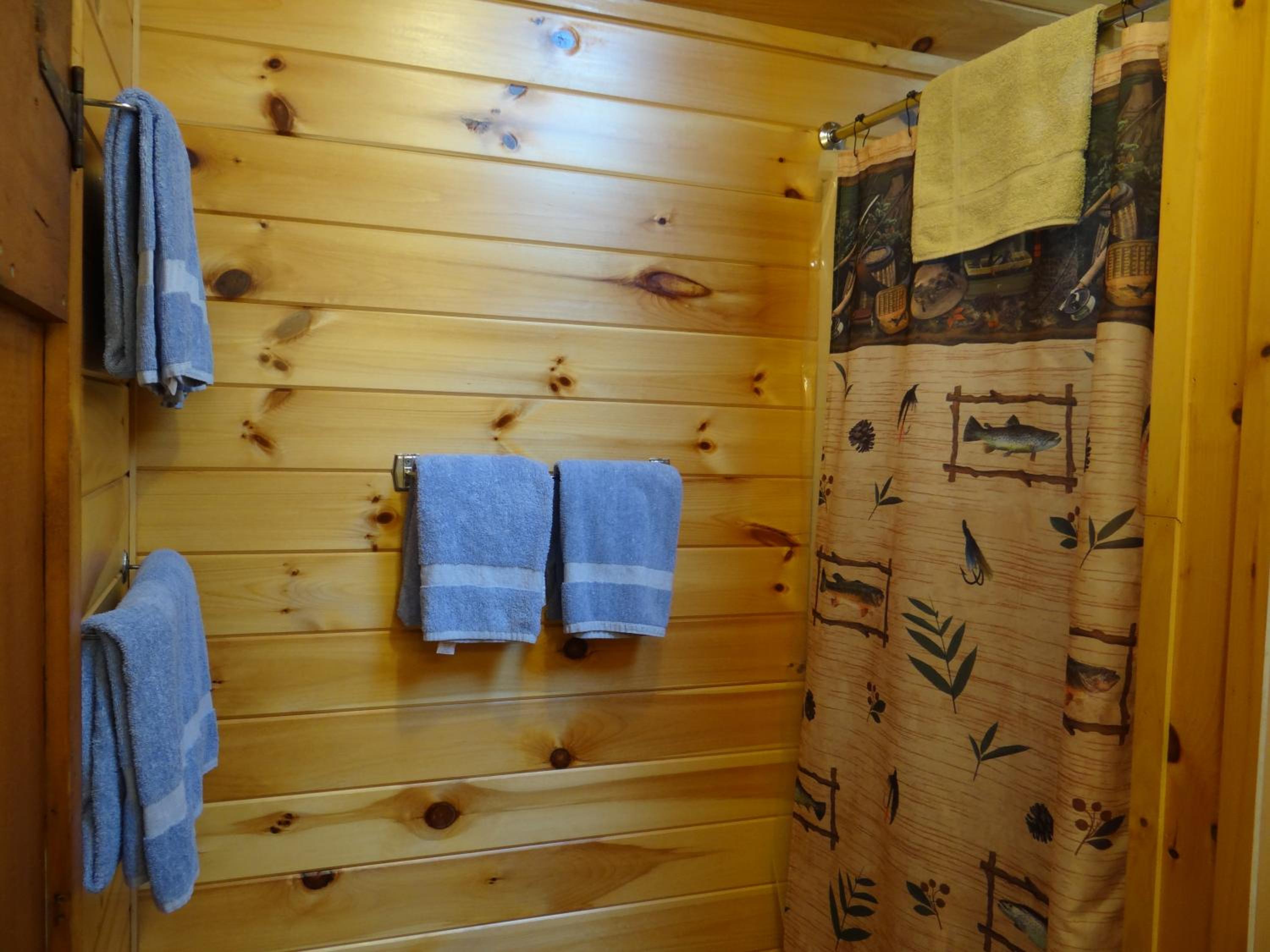 One-Bedroom House Cabin 5 photo 3