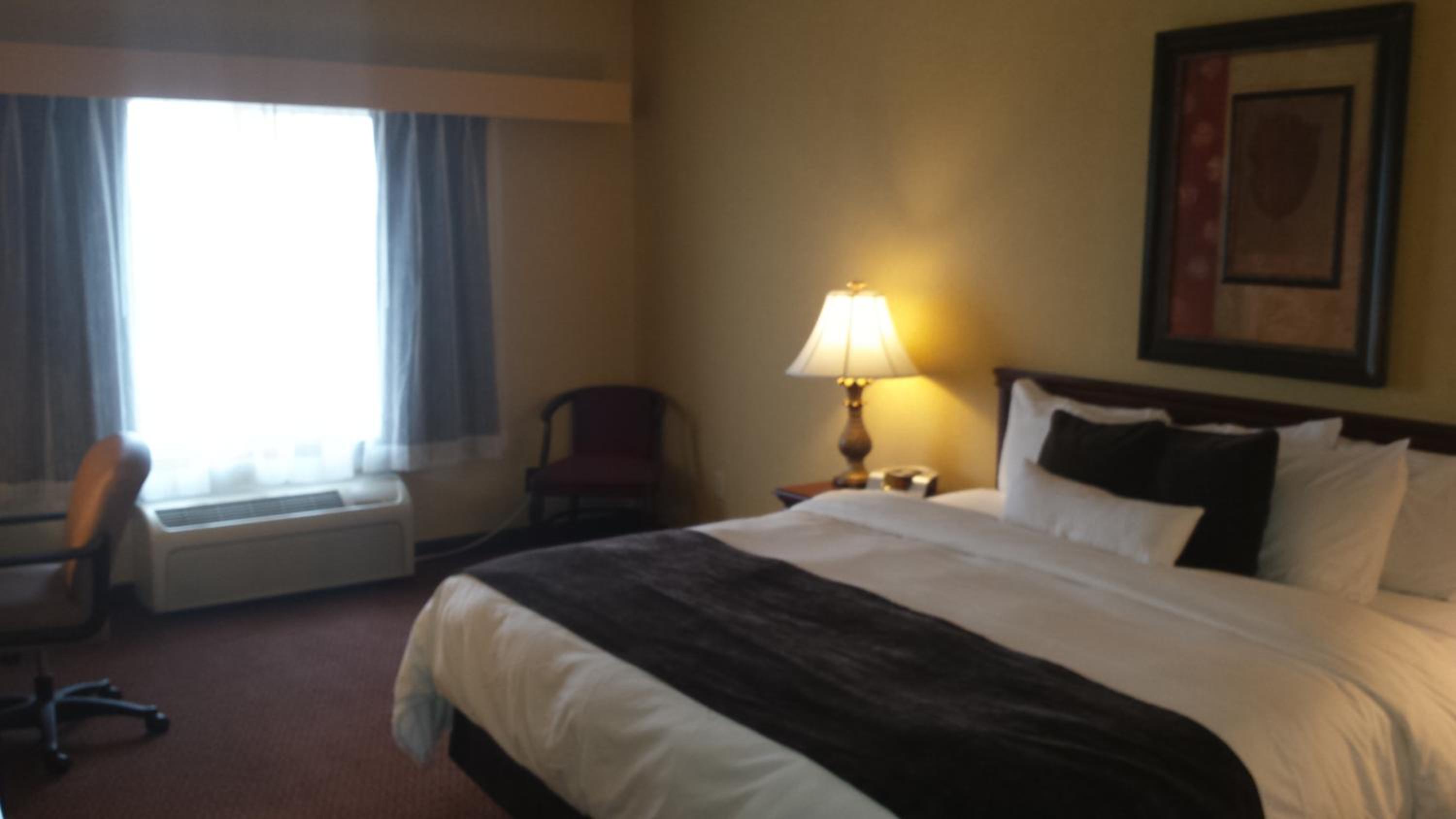 One-Bedroom King Suite photo 1