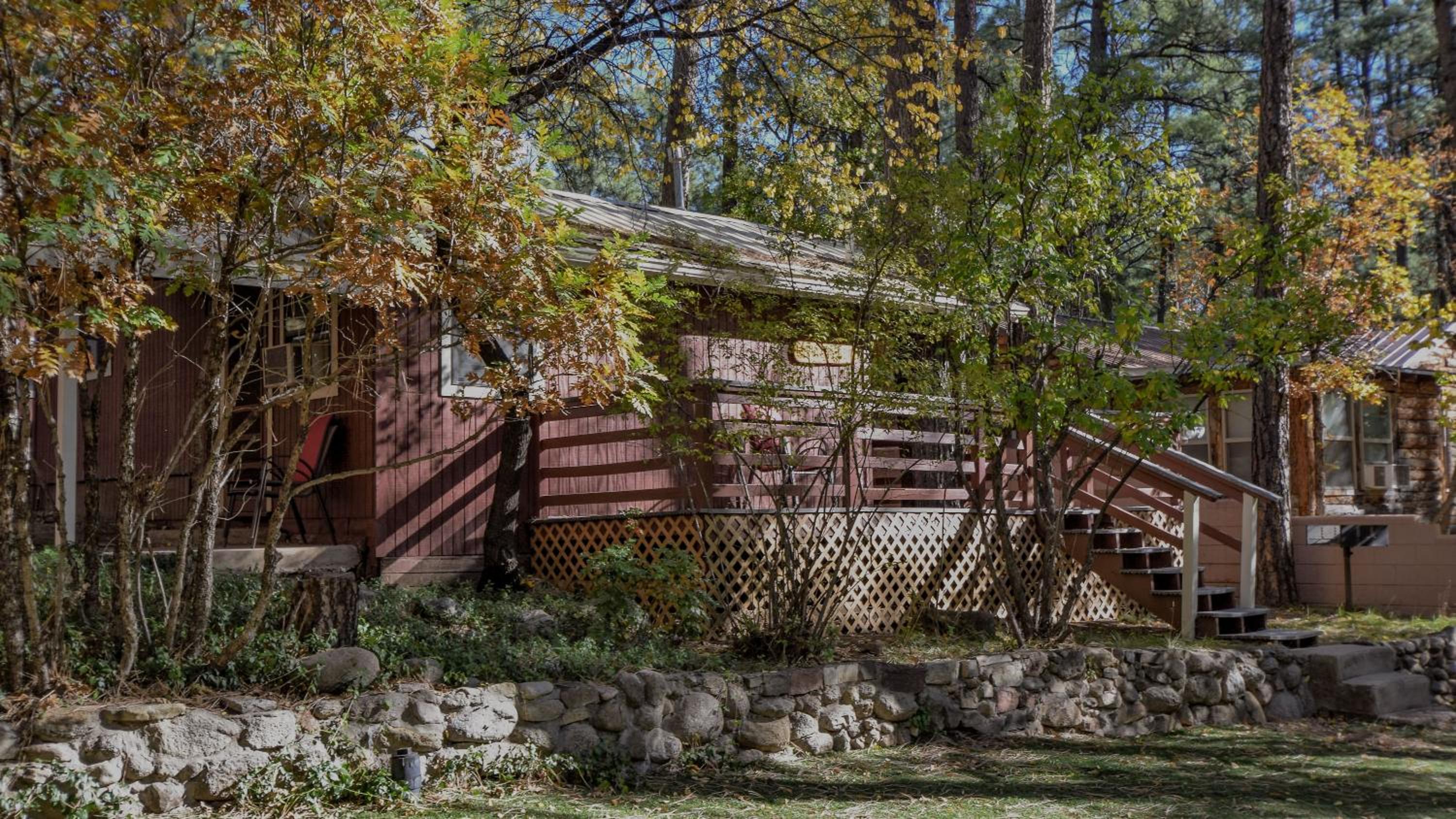 One-Bedroom Cabin (Hummingbird) photo 2