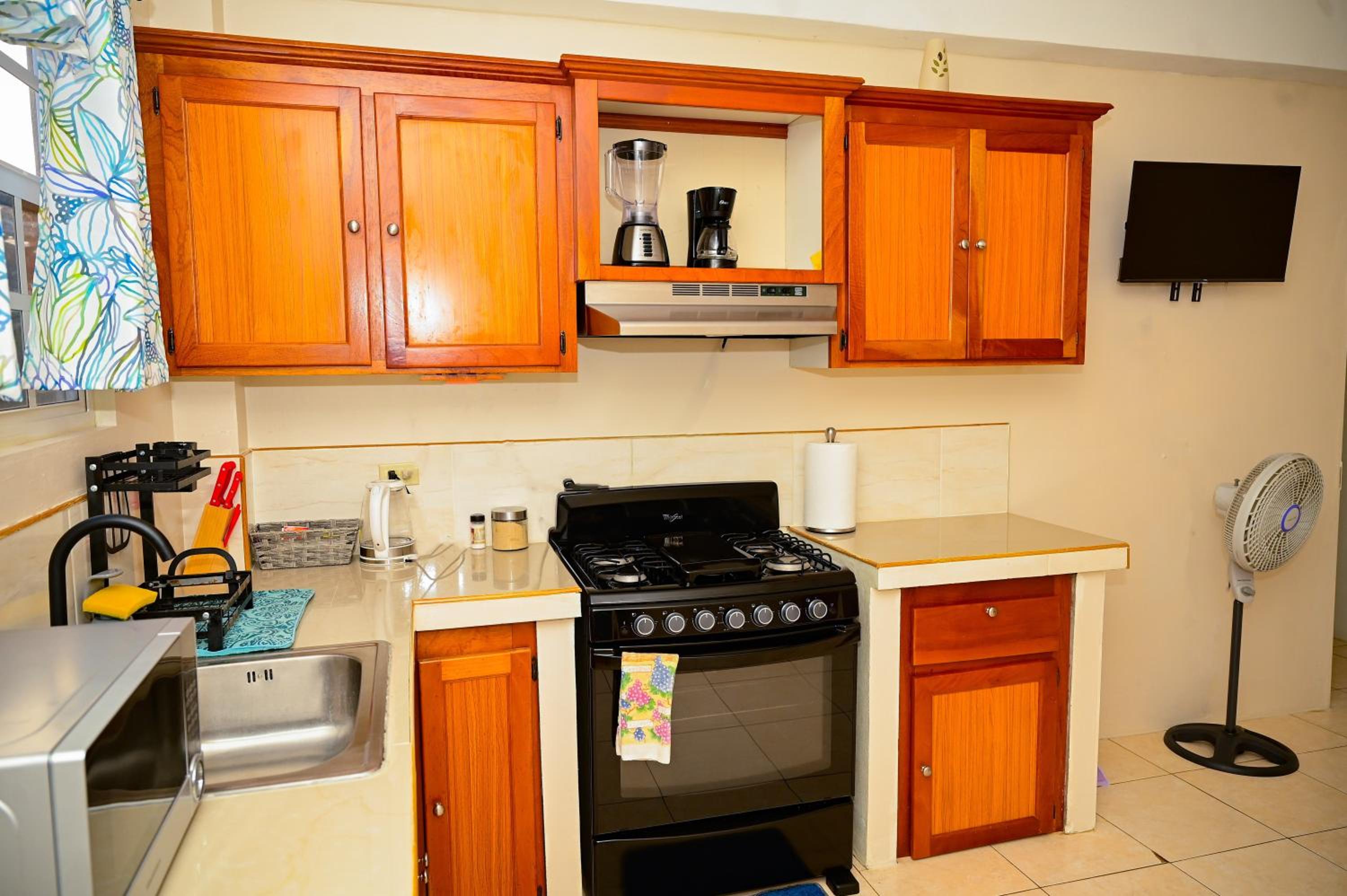 One-Bedroom Apartment photo 2
