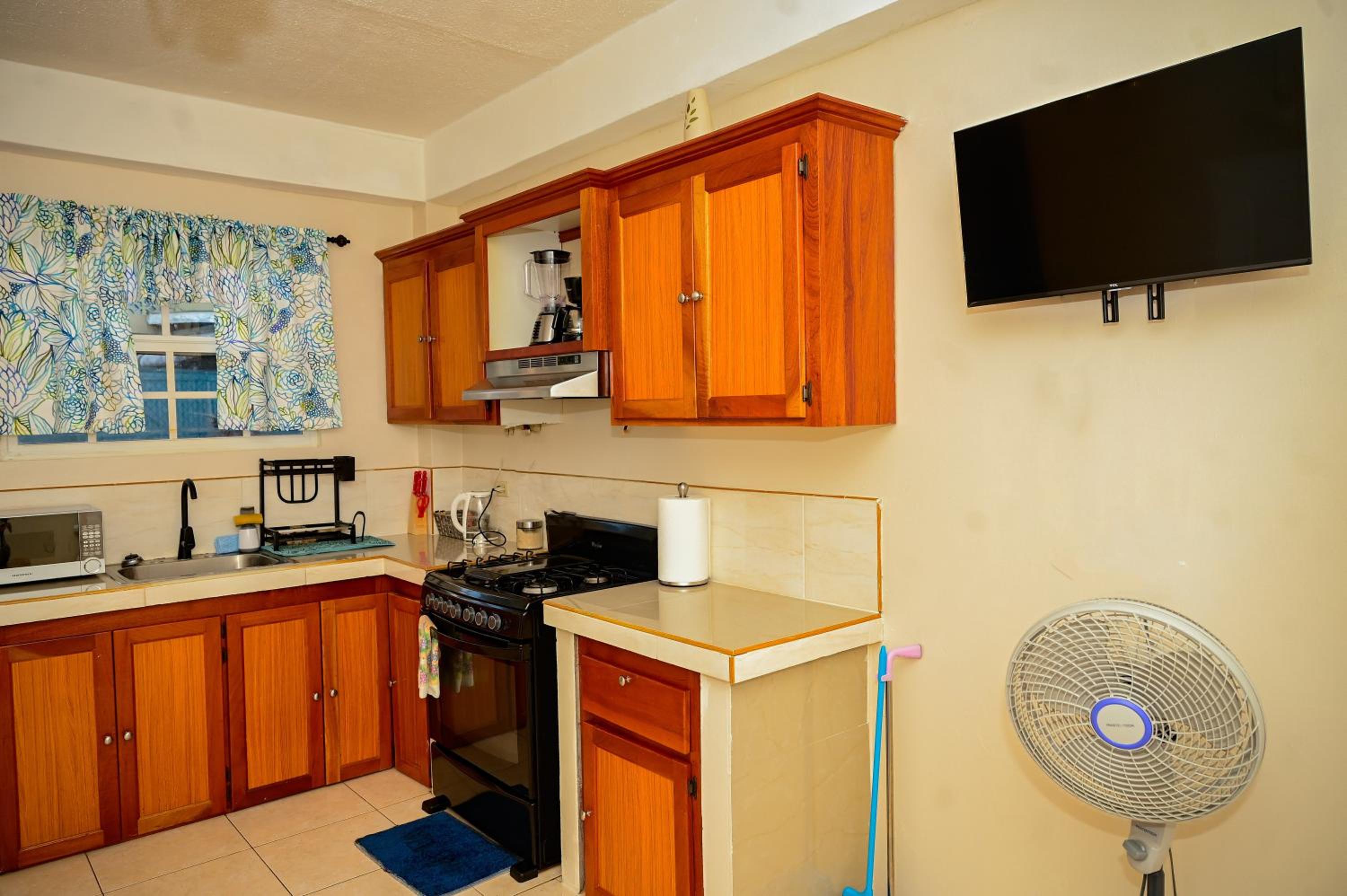 One-Bedroom Apartment photo 3